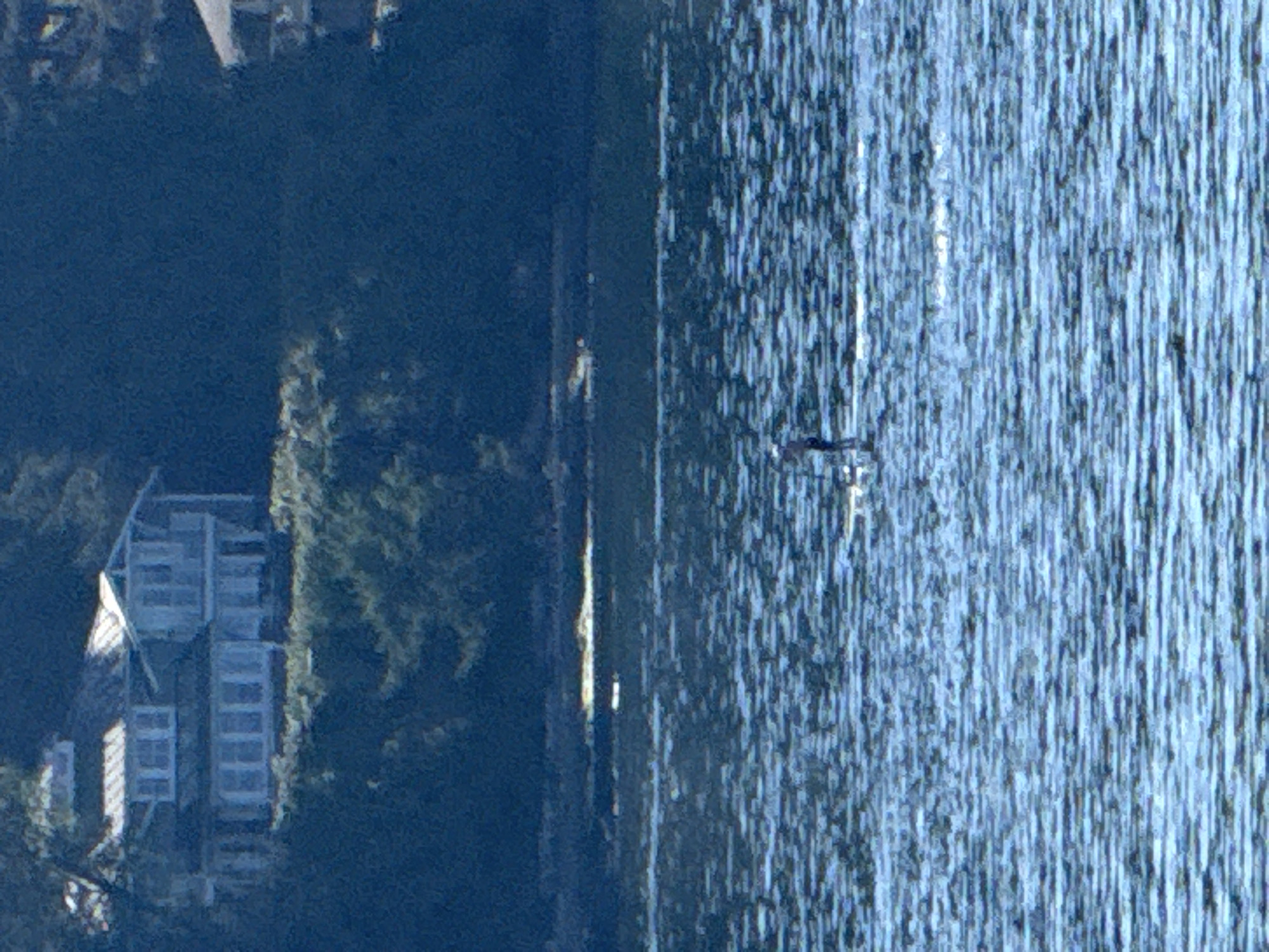 A distant shot shows a person on a paddleboard in the water. In the background, a large house with multiple windows and a sloped roof sits on a tree-covered hillside. The water is choppy and reflects the sunlight. The scene appears to be in the Southern Gulf Islands Electoral Area, Canada.