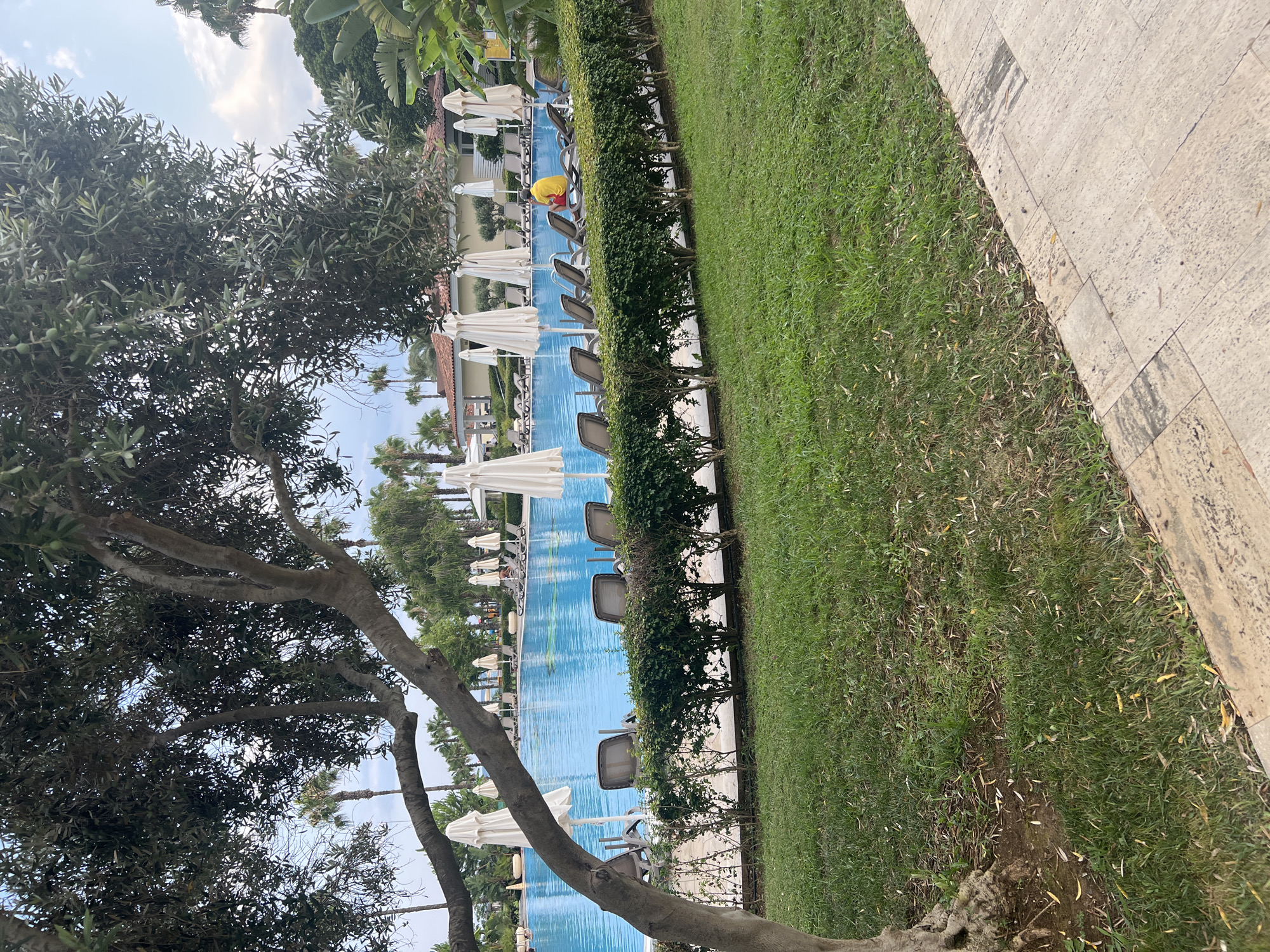 The image depicts a resort swimming pool area in Serik, Turkey. A large, blue swimming pool occupies the center of the frame, surrounded by rows of lounge chairs and white umbrellas. Lush green grass and a well-maintained hedge line the edge of the pool. A large tree with dark bark and green leaves partially obscures the left side of the image. In the background, a building with a terracotta roof and palm trees are visible. A person wearing a yellow shirt and red shorts is seated on a lounge chair by the pool. The sky is partly cloudy. The foreground shows a paved walkway.