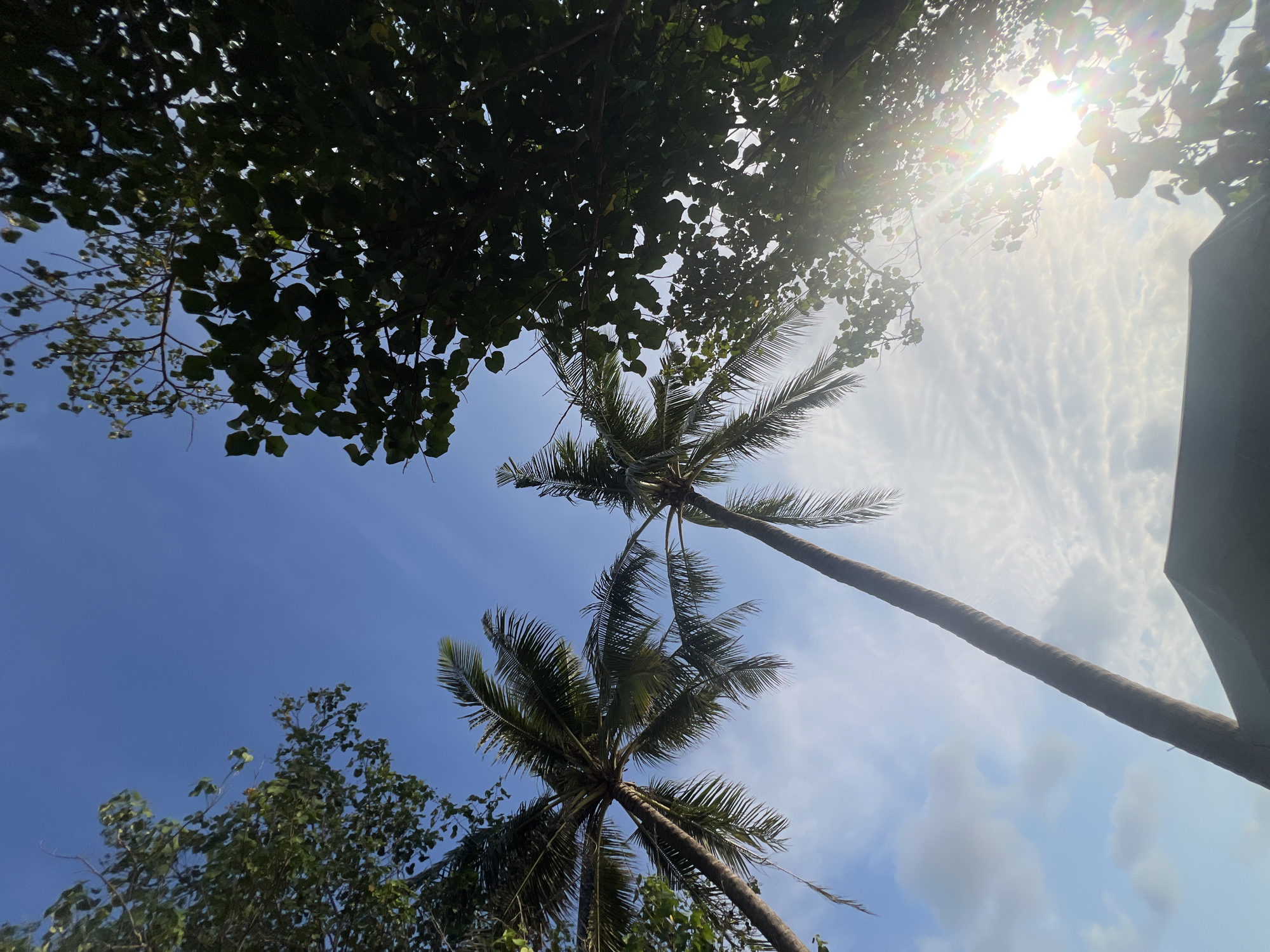 The image depicts a low-angle view looking up at two palm trees against a bright blue sky with scattered clouds. Lush green foliage from other trees frames the top and right edges of the scene. Sunlight beams through the leaves on the right, creating lens flare and a bright, hazy effect. The trunks of the palm trees are slender and stretch diagonally upwards. In the lower portion of the image, the dark, angular shape of a building's roof is visible. The scene suggests an outdoor environment, possibly a tropical location, given the presence of palm trees. The city of Kuta, Indonesia, is known for its beaches and tropical climate, making this scene consistent with such a location.