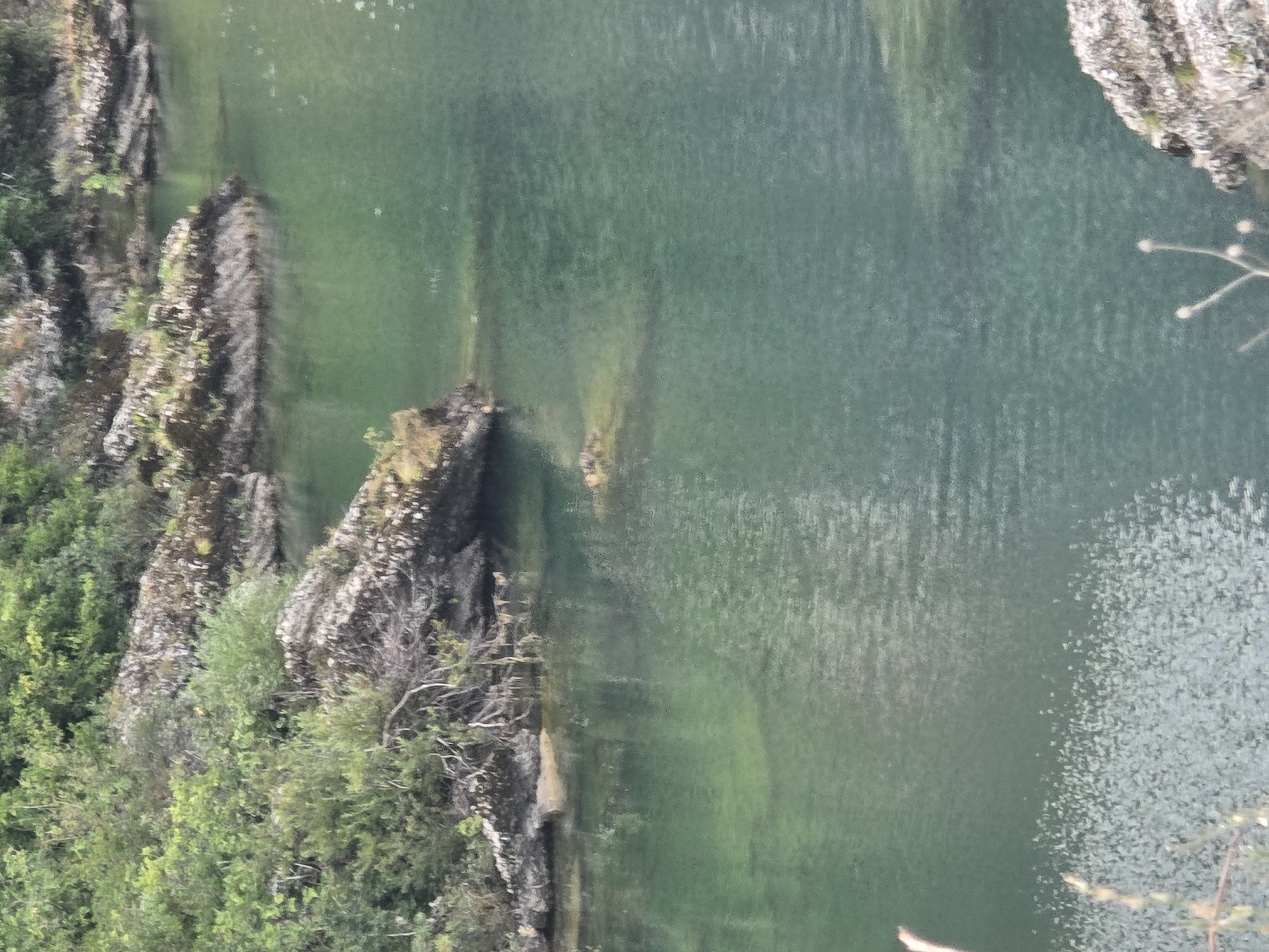 The image depicts a serene natural scene in Podgorica, Montenegro, characterized by lush greenery and calm, turquoise waters. The foreground features a rocky bank with sparse vegetation, leading into a body of water that reflects the surrounding trees and sky. The water is clear, allowing visibility of submerged rocks in some areas. The background is dominated by dense green foliage, suggesting a forested environment. The overall impression is one of tranquility and natural beauty, possibly a river or lake area within the city. There are no visible people or man-made structures, emphasizing the natural setting. The light suggests it is daytime, with soft illumination filtering through the trees.