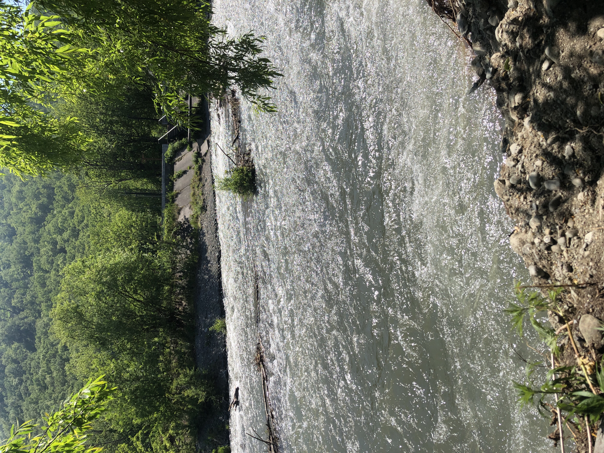 The image depicts a fast-flowing river with sunlit ripples, bordered by a rocky bank in the foreground and a lush, forested hillside in the background. Several pieces of driftwood are visible in the water. On the far bank, there is a concrete structure with steps leading down to the river, likely part of a bridge or embankment. The scene is set in a natural environment with abundant green foliage. This image appears to be taken in Yelizovo, Russia, given the presence of similar geographical features and infrastructure documented in other images from the area. No people or animals are present in the image.