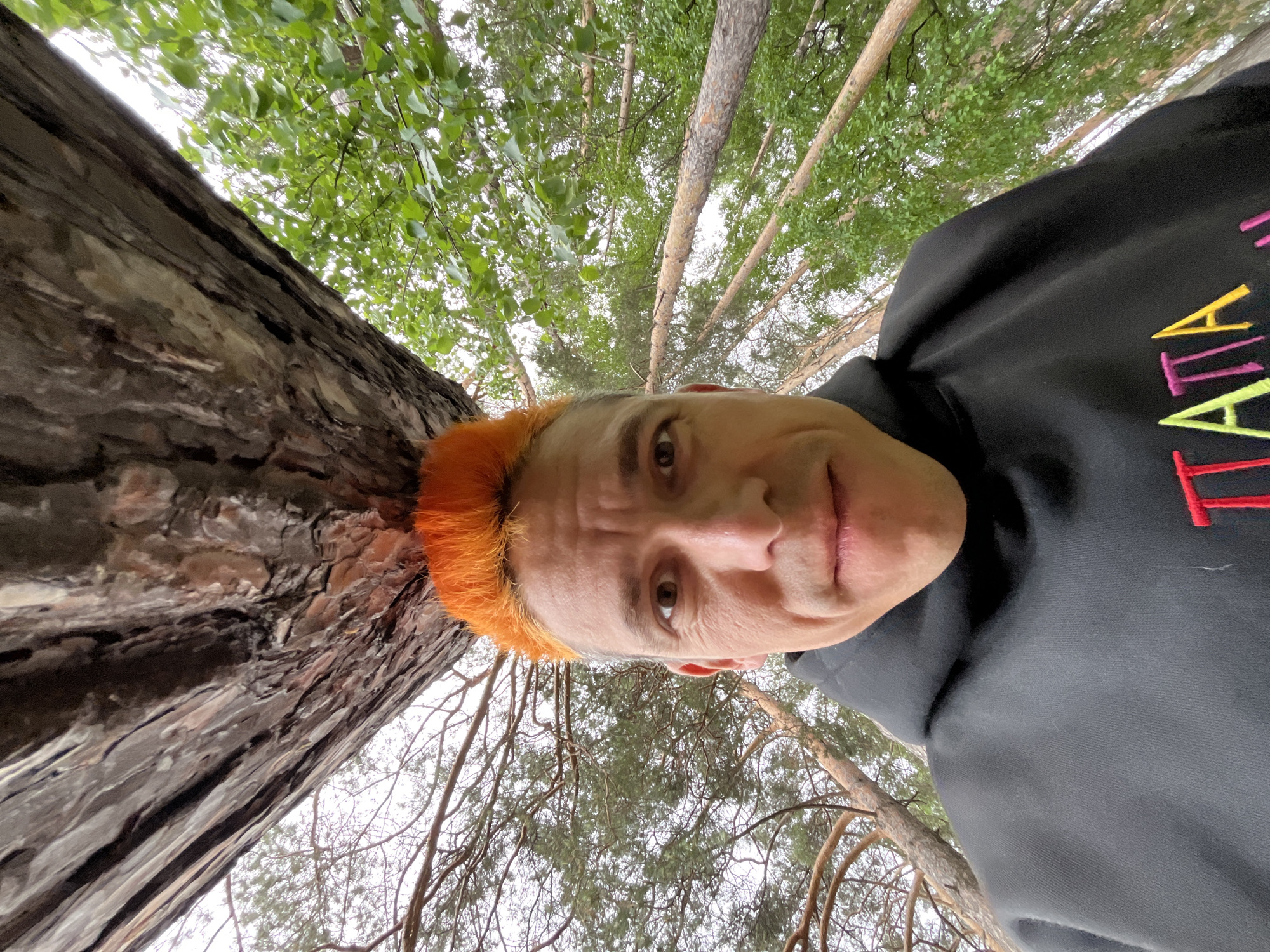 The image, captured in a forest within the city of Chaikovsky, Russia, features a male individual from a low-angle, wide-lens perspective, looking upwards. The man, appearing middle-aged, occupies the lower center of the frame, gazing directly at the camera with a neutral expression. He has short, brightly dyed orange hair styled upwards and is wearing a black hooded sweatshirt with colorful embroidered Cyrillic text, reading "ПАПА" (PAPA/DAD), on the chest. Directly above his head, and prominently filling the top portion of the frame, is the rough, textured underside of a large tree trunk, angled diagonally. The background consists of a dense forest under an overcast sky. To the viewer's left, sparsely branched pine trees are visible against the sky. To the viewer's right, deciduous trees with vibrant green leaves and several fallen or significantly slanted tree trunks extend into the distance.