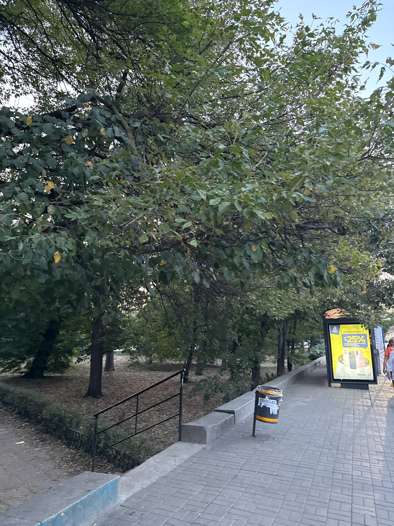 The image shows a sidewalk with a gray tiled surface, a concrete curb painted blue on the left, and a low green hedge bordering a grassy area with trees and fallen leaves on the right. A black metal railing with three horizontal bars leads down a short set of stairs on the left. A black trash bin with a yellow and orange rim and a white sticker on the front stands on the sidewalk. In the background, a large tree with green leaves dominates the left side of the frame, with other trees and foliage visible behind it. To the right, a bright yellow billboard with Cyrillic text and images of mobile phones is lit up. A person in an orange shirt is partially visible walking on the sidewalk in the far right background, and another person is further in the distance. The sky is visible through the leaves of the trees, appearing slightly overcast. This scene is likely a park or a street with trees and pedestrian access in Sofia, Bulgaria, given the Cyrillic text on the billboard.
