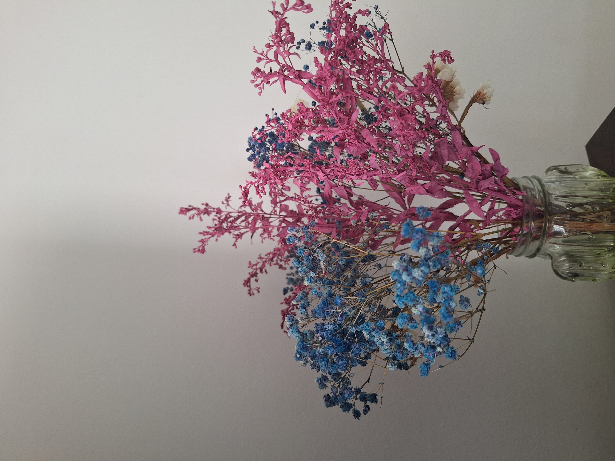 A close-up, waist-up shot shows a bouquet of dried flowers in a glass vase. The flowers are a mix of bright pink and light blue hues, with delicate, branching stems. The vase is clear and has a fluted design. The background is a plain, light-colored wall, with a subtle shadow cast on the left side. The lighting is soft and diffused, with the flowers appearing slightly textured and aged. The scene is set against a plain wall, indicating an indoor environment, possibly a home or studio. There is no indication of the city of Płock, Poland.