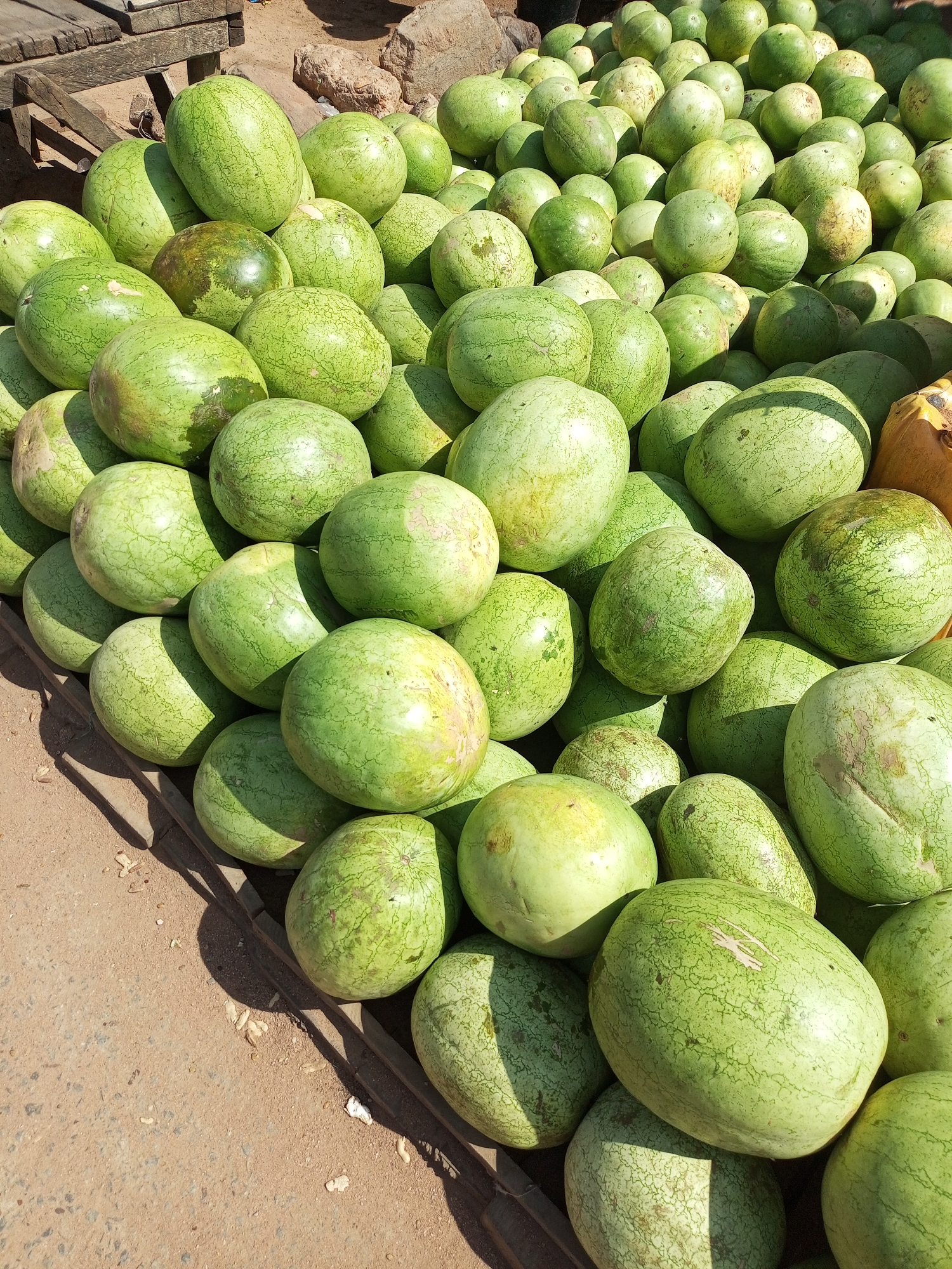 The image shows a close-up, eye-level view of a large pile of watermelons at an outdoor market, likely in the city of Gombe, Nigeria. The watermelons are various shades of green, some with lighter green stripes and others with darker green patches. Many of them have subtle imperfections, such as small brown spots or light-colored blemishes, which are typical of produce. The watermelons are piled high, with some resting on wooden crates or structures visible in the background and foreground. The ground beneath the watermelons appears to be a sandy or dirt surface, with some small debris scattered around. The lighting suggests it is daytime, with strong shadows cast by the watermelons and the wooden structures. There are no people visible in the frame. The overall scene depicts a vibrant agricultural market stall.