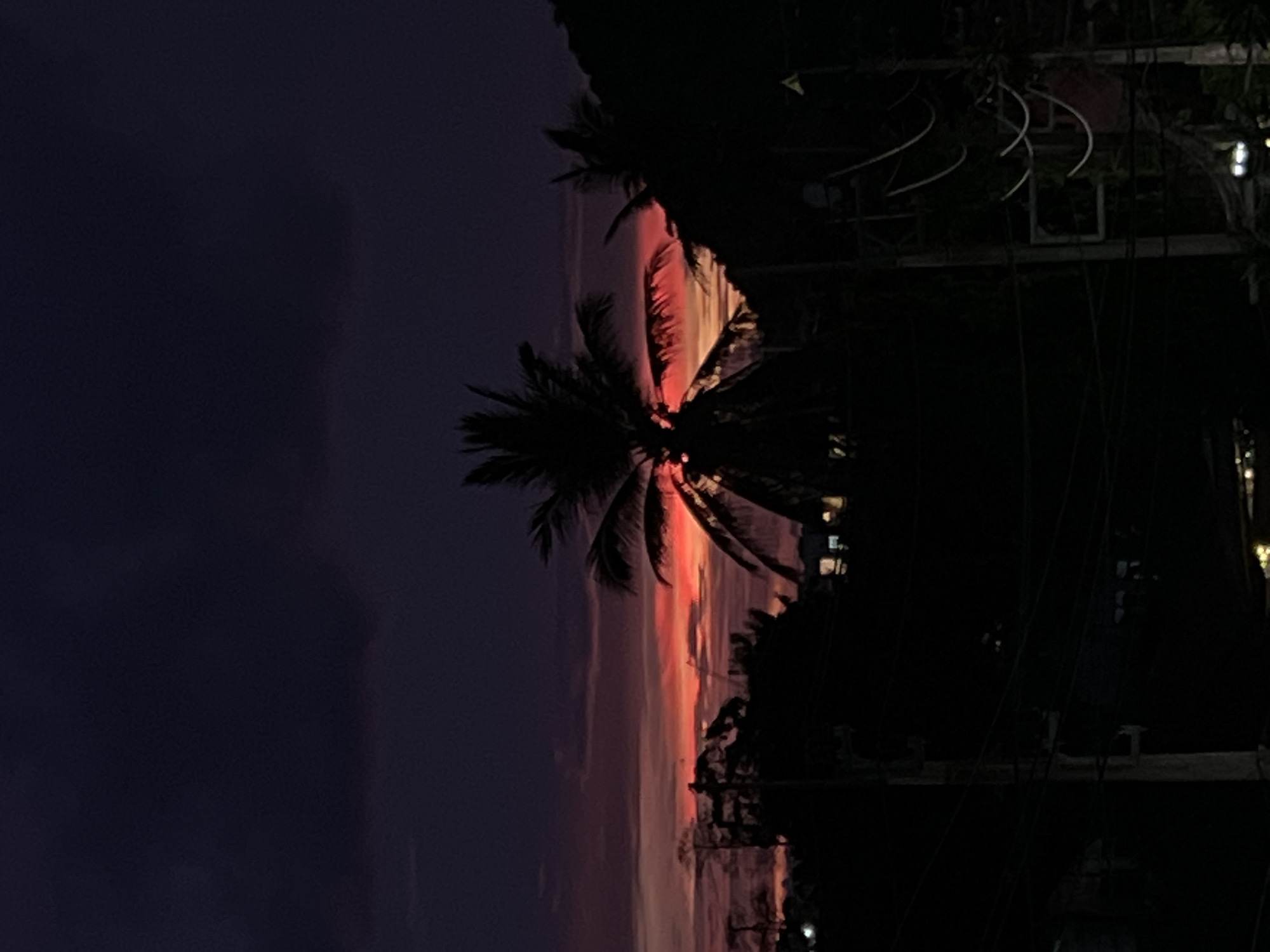 The image depicts a twilight scene in an unspecified urban or semi-urban location. The sky is a deep indigo, transitioning into streaks of vibrant red and orange near the horizon, suggesting the last moments of sunset or the prelude to sunrise. Silhouetted against this dramatic sky are several palm trees, their fronds distinct and fanned out. The lower half of the image is dominated by darkness, with the shapes of buildings, trees, and utility poles rendered as silhouettes. Power lines crisscross the foreground, contributing to the urban feel. Scattered lights, possibly from buildings, are faintly visible in the distance, indicating a populated area. The overall impression is one of natural beauty meeting the man-made environment at dusk.