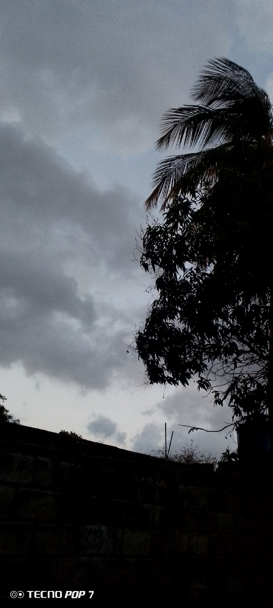 A low-angle, color photograph depicts a cloudy sky above a brick wall and silhouetted trees in Altagracia, Venezuela. The sky is filled with grey and white clouds. To the right, the silhouette of a tree with palm fronds is visible. Below, a dark brick wall runs horizontally across the lower portion of the frame. On top of the wall, there is some dark vegetation. The words "TECNO POP 7" are visible in the bottom left corner of the image. The lighting suggests either dusk or an overcast day.