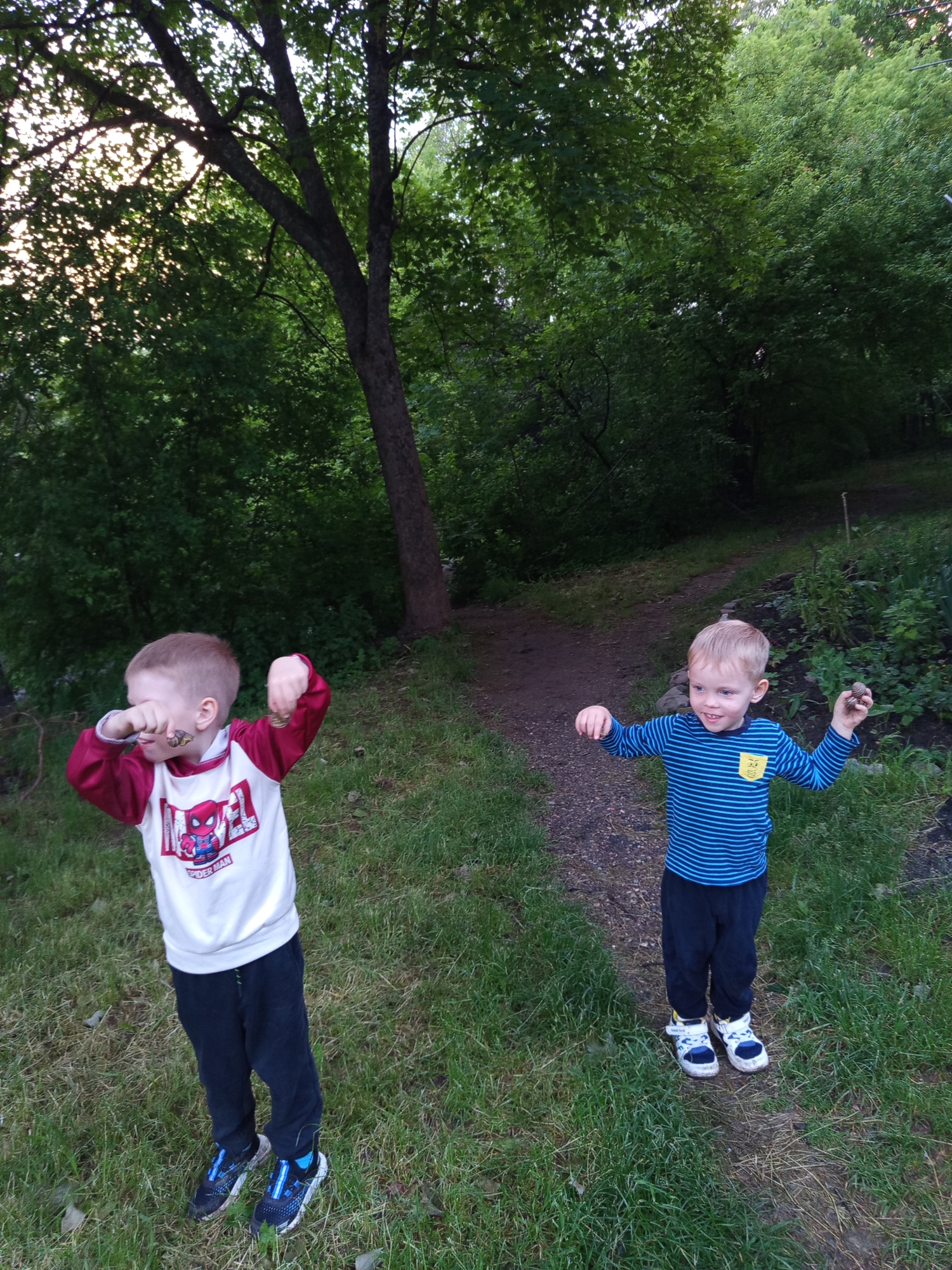 The image depicts two young boys, appearing to be between three and five years old, standing outdoors in a natural, vegetated environment. The specific location is not visually identifiable as Yessentuki, Russia, from the image content alone.
The boy on the left has short, light-colored hair and fair skin. He is wearing a long-sleeved raglan shirt with a white torso featuring a red Spider-Man graphic and maroon sleeves. He has dark blue trousers and dark athletic shoes with blue accents, which are visibly soiled with mud or dirt. His left hand is raised to his face, obscuring part of his expression, while his right hand is raised, holding a small, dark, lumpy object, possibly a snail or a clump of dirt.
The boy on the right also has short, light-colored hair, fair skin, and blue eyes. He is smiling and looking towards the left, possibly at the other boy. He wears a long-sleeved shirt with horizontal blue and light blue stripes, featuring a yellow pocket patch on the left chest. He has dark blue trousers and white and blue athletic shoes, also visibly soiled. His arms are bent at the elbows and raised, and he holds a similar small, dark, lumpy object in his left hand.
The children are standing on green grass, interspersed with some dry leaves. A narrow, unpaved dirt path winds from the lower center of the frame towards the upper right. The background is densely filled with green foliage from numerous trees and bushes, suggesting a wooded area, park, or a substantial garden. A prominent dark tree trunk is visible in the upper right background. On the left side of the image, bright sunlight filters through the canopy of a large tree, creating dappled light and highlighting the leaves. The overall lighting is natural and suggests daytime.