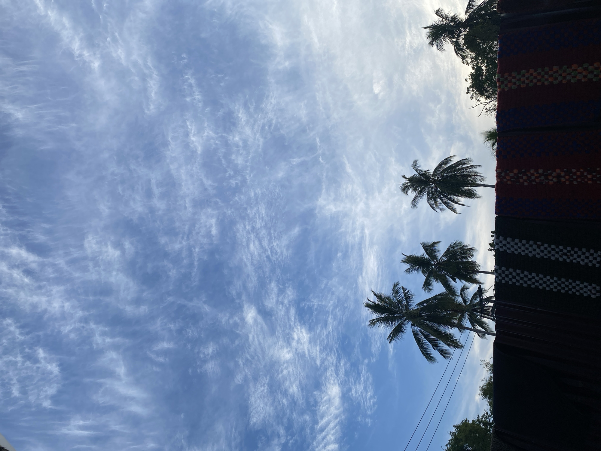 The image presents a serene upward view of a tropical sky, featuring a vast expanse of light blue overhead adorned with numerous wispy, white cirrus clouds stretching across the frame. The clouds create delicate, feathery patterns against the clear blue. Towards the upper right of the frame, the sky brightens considerably, suggesting the presence of the sun, which is obscured by clouds or positioned just out of view.
Silhouetted against this bright sky are several tall palm trees, their distinctive fronds detailed against the light. These trees appear on the right side of the image, with one prominently in the middle-right and others peeking in from the top and bottom right corners. On the far right edge of the frame, dark, patterned textiles or mats are visible, hanging vertically. These fabrics display woven designs, including horizontal bands with checkerboard patterns in colors such as red, black, and possibly blue and green, alongside sections of solid dark fabric.
The setting is an outdoor, tropical environment, consistent with Gampongaceh, Indonesia. The time of day appears to be either early morning or late afternoon, characterized by the soft, bright sunlight silhouetting the palm trees. There is no discernible activity taking place, and the scene is tranquil. No visible text is present in the image.