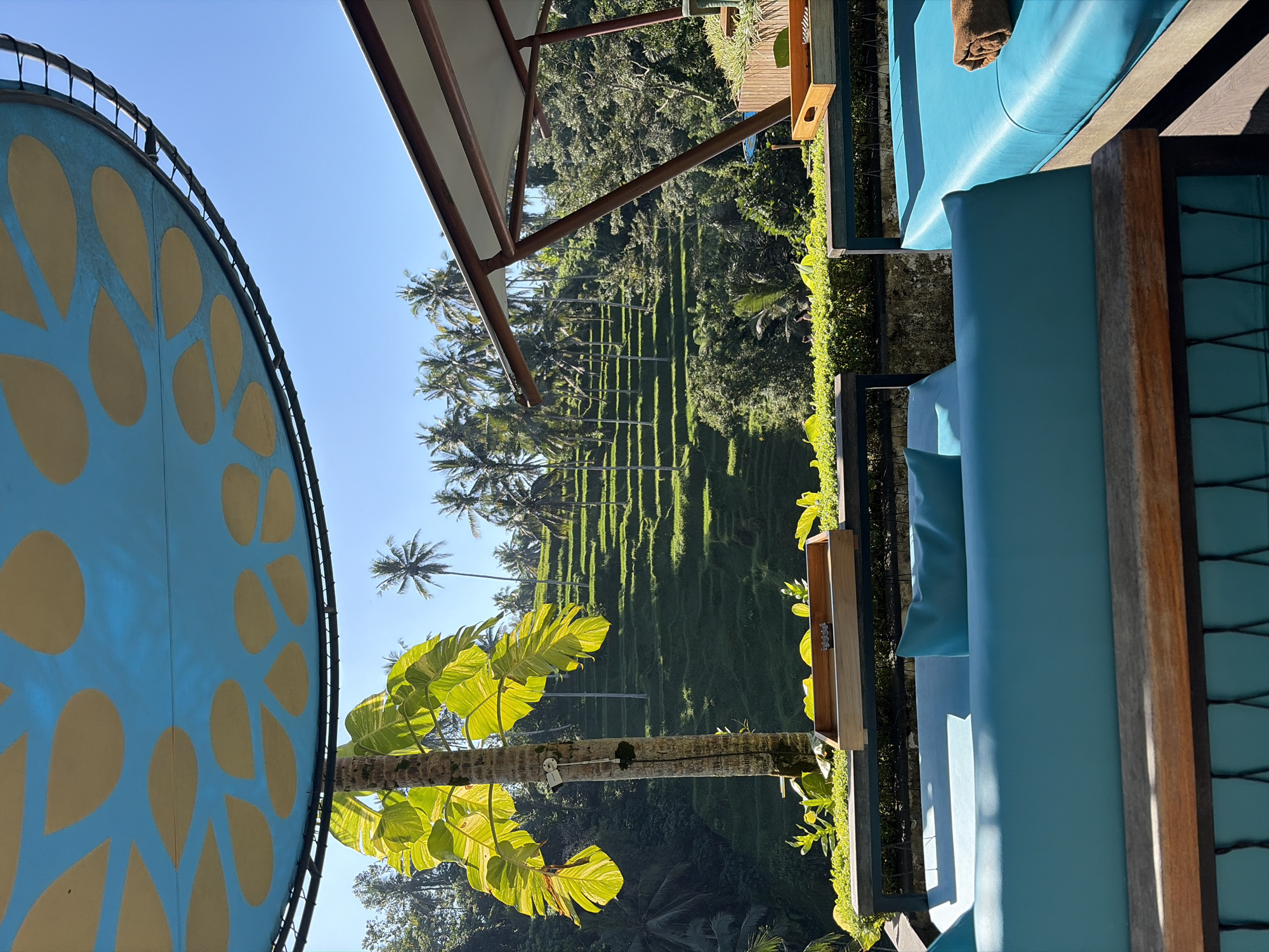 The image depicts a sun-drenched outdoor seating area with a view of the Tegallalang rice terraces in Tegallalang, Indonesia. In the foreground, two bright turquoise chaise lounges are set up, one with a folded brown towel on it. A wooden tray with what appears to be small metallic objects sits on a railing between the lounges. Above the lounges, a large circular canopy with a blue sky-like pattern and yellow leaf shapes provides shade. A palm tree with large, variegated leaves stands to the left, casting a shadow on the scene. In the background, the iconic Tegallalang rice terraces cascade down a lush green hillside, dotted with numerous tall palm trees. The sky is a clear, bright blue. The scene suggests a tranquil and scenic relaxation spot overlooking the famous Balinese landscape.