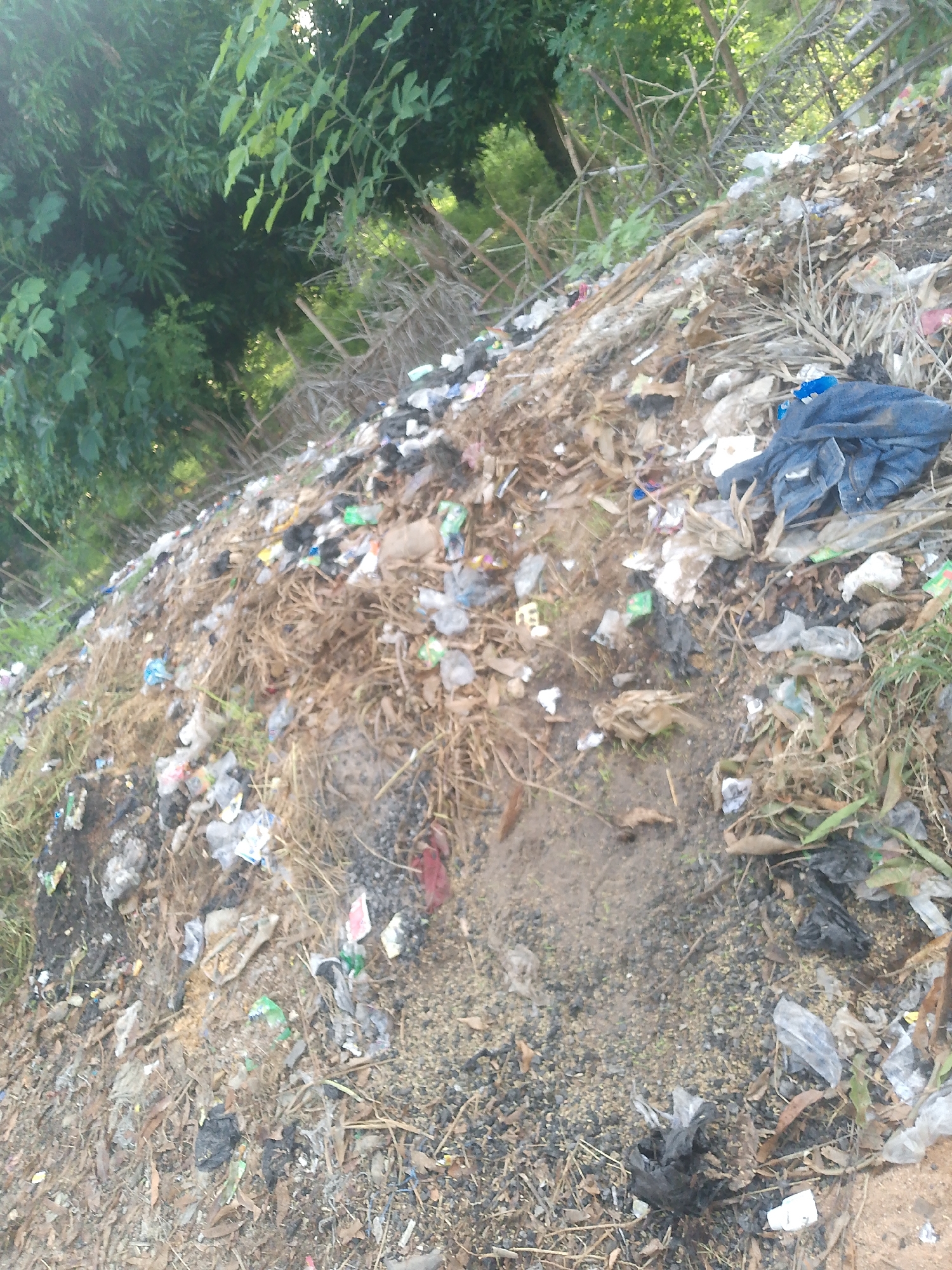 The image depicts a pile of garbage in Jalingo, Nigeria. The garbage consists of various discarded items, including plastic bags, wrappers, and other debris, scattered amongst dry leaves and branches. A pair of dark blue jeans is visible on top of the pile. The surrounding environment appears to be overgrown with vegetation, suggesting an outdoor, possibly rural or semi-rural, setting within the city. The scene is characterized by a general state of disarray and neglect.