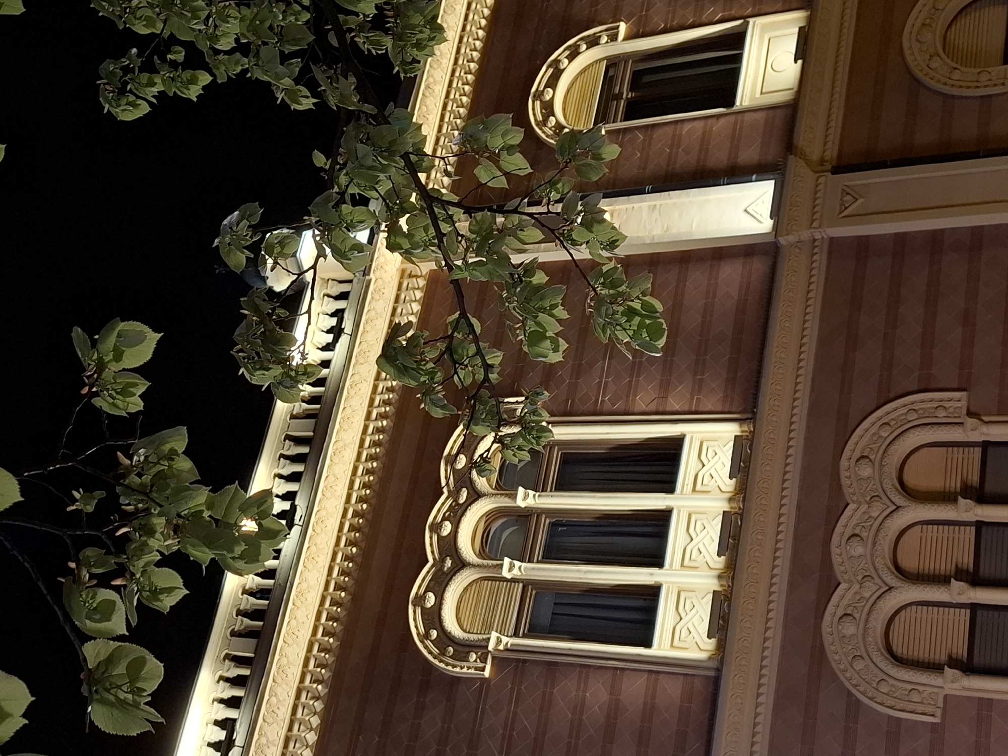 The image shows a building facade at night in Novi Sad, Serbia. The building has a distinct architectural style, featuring intricate ornamentation and windows with curved tops. The facade is illuminated with warm light, emphasizing the details and textures of the building's design. A tree branch with green leaves is visible in the foreground, partially obscuring the building. The background is dark, suggesting a nighttime setting. The perspective is from a low angle, looking up at the building.