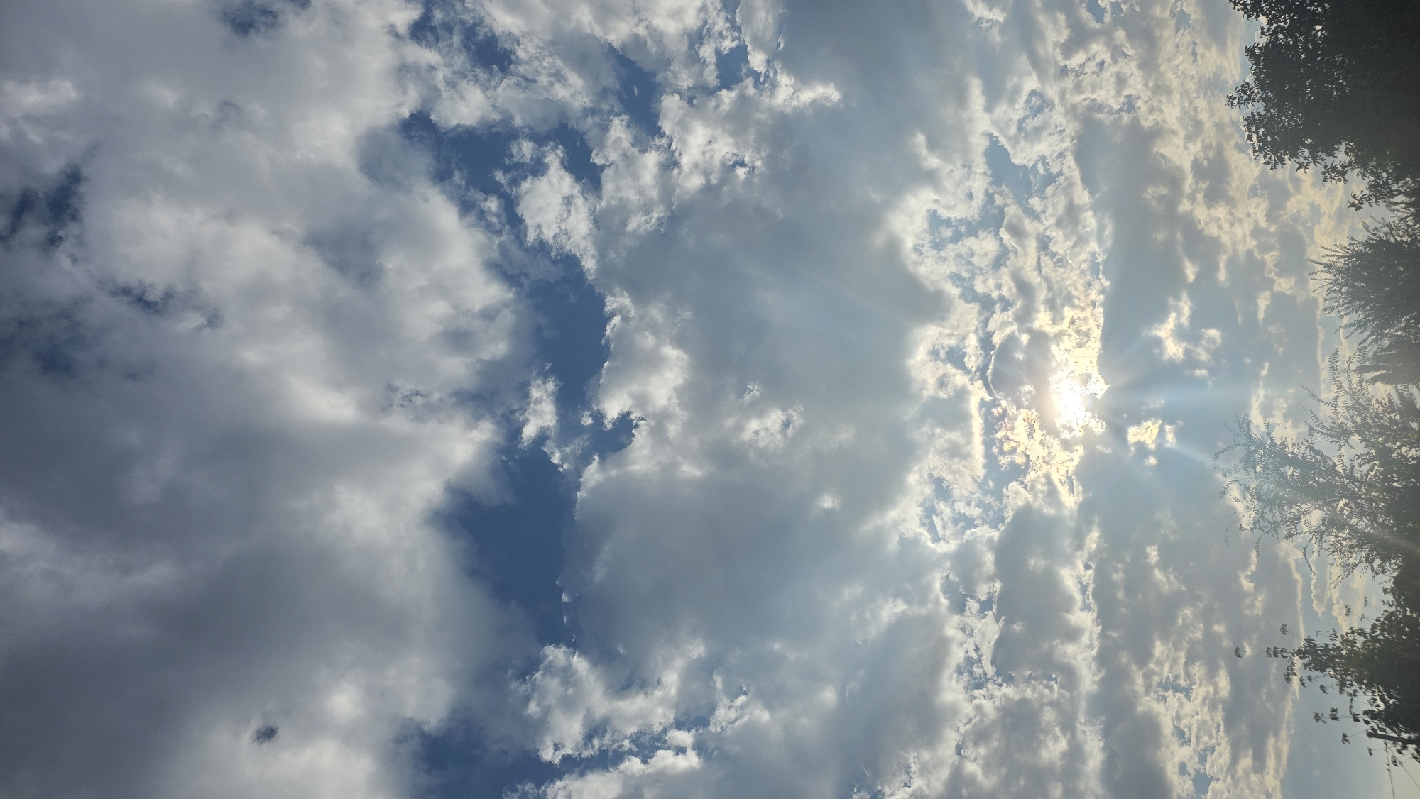 The image depicts a sky filled with a mix of white and gray clouds, with patches of blue sky visible. Sunlight filters through the clouds, creating visible rays of light. The lower portion of the image shows the silhouettes of trees against the bright sky. The scene is a natural landscape, likely an outdoor setting within or near the city of Chuy, Kyrgyzstan, characterized by a daytime sky.