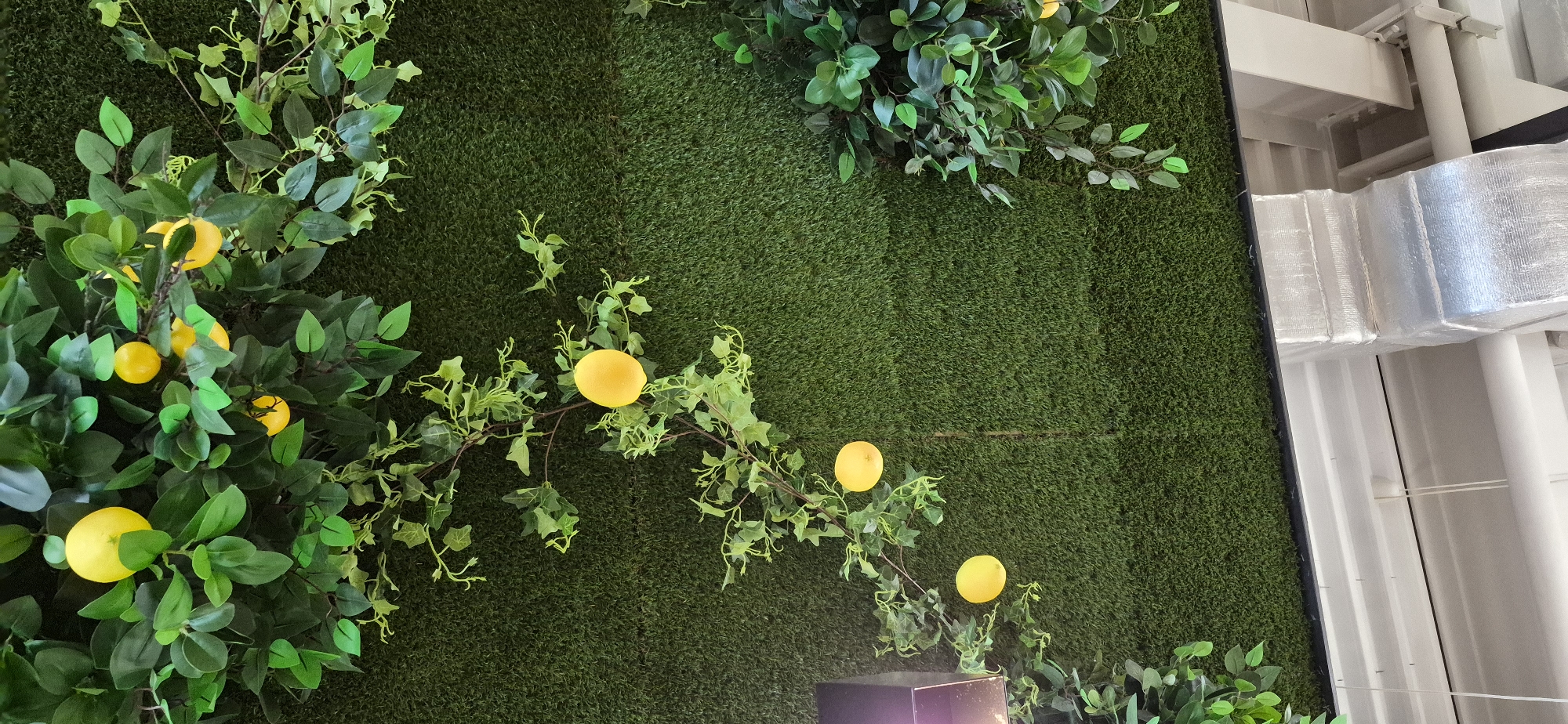 This is an indoor shot of a decorative arrangement against a faux grass wall. The wall is composed of dark green, short-pile artificial turf laid in sections. A branch with green leaves and several bright yellow, artificial lemons is draped across the wall from the top left, with three lemons visible. Another branch with ivy-like green leaves is intertwined with the lemon branch, also originating from the top left. To the right, there is a cluster of darker green artificial foliage with broad leaves. The top portion of the image shows the artificial greenery, and the bottom portion reveals the underside of a ceiling with white beams and metallic, insulated ductwork. There are no people or animals present, and no discernible urban elements that would indicate a specific city location.
