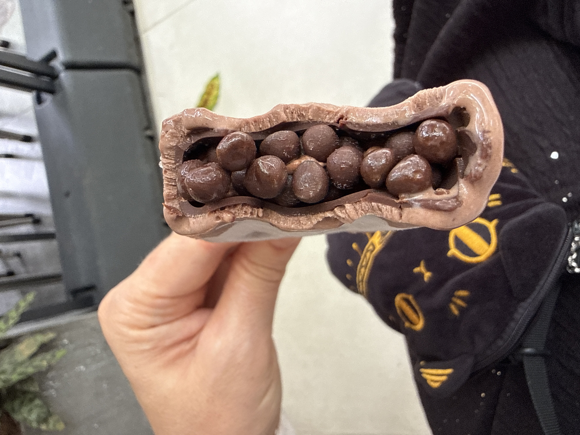 A person's hand holds a partially eaten chocolate bar, revealing a creamy, dark brown filling studded with small, round, dark brown pieces. The chocolate bar appears to be broken in half, with the exposed interior showing the texture of the filling and the embedded pieces. The background is blurred, suggesting an indoor setting with some greenery visible. The overall lighting is natural and appears to be daylight. The image is a close-up shot, focusing on the chocolate bar and the hand holding it.