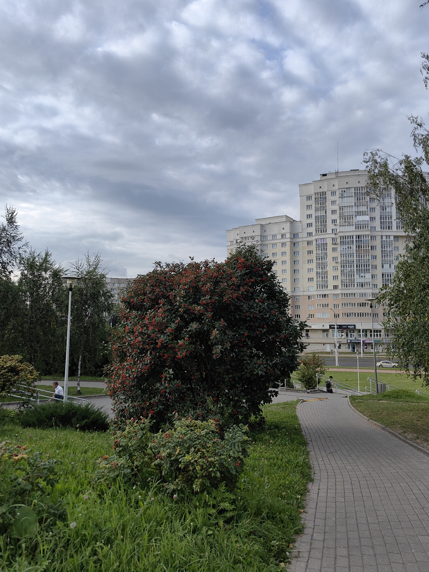 An overcast, possibly late summer or early autumn day in Minsk, Belarus, is depicted in this vertical, eye-level shot. The foreground features a winding paved walkway made of gray square stones, curving from the lower right towards the left. To the left of the walkway, lush green grass is interspersed with smaller bushes and a large tree laden with bright red berries. A single lamppost stands near the walkway, and a few people are visible in the background, including one person sitting on a railing and another walking up a set of stairs. Towering apartment buildings, typical of Soviet-era architecture, dominate the background. The sky is heavily clouded, with shades of gray and white, suggesting an impending rain or simply a cloudy day.