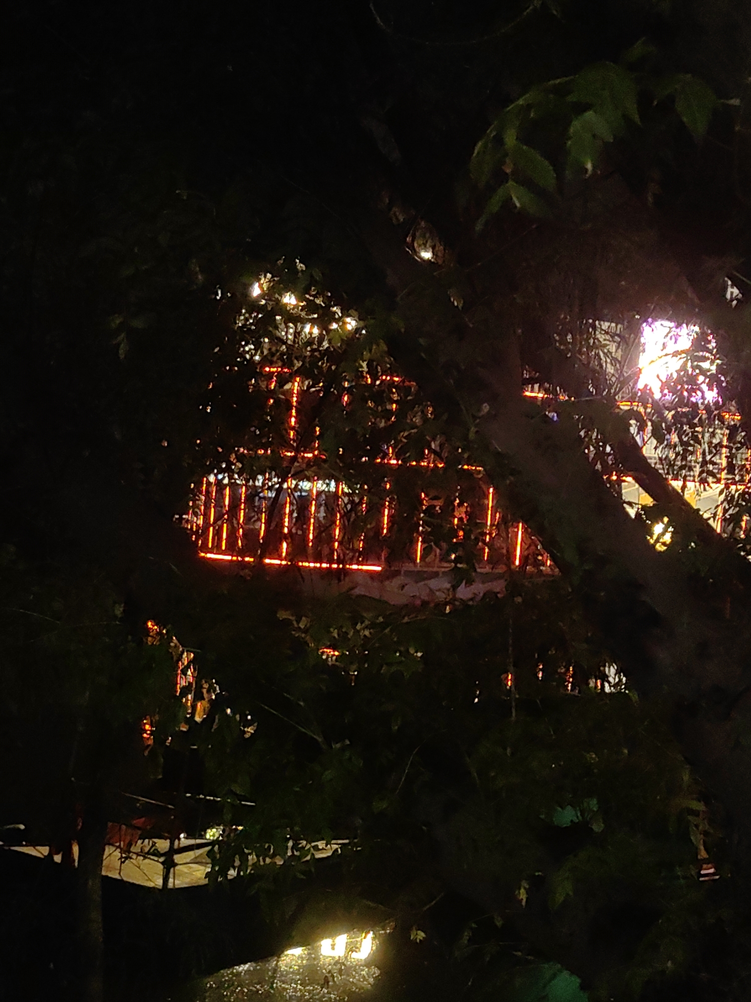 The image depicts a nighttime scene in Gorakhpur, India, with a focus on decorative lights. The foreground is dominated by the dark silhouettes of trees and foliage, obscuring a significant portion of the background. Through gaps in the leaves, a structure adorned with numerous vertical orange lights is visible. These lights appear to be arranged in a repeating pattern, forming a fence-like or railing-like appearance. Above and to the right of these orange lights, more colorful, possibly purple and white, lights can be seen, suggesting a larger illuminated area or building beyond. The overall impression is one of an outdoor setting at night, likely a public space or event, enhanced by artificial lighting. No people or specific landmarks are clearly identifiable. The lighting suggests an urban environment, possibly a park, a street, or an outdoor venue.