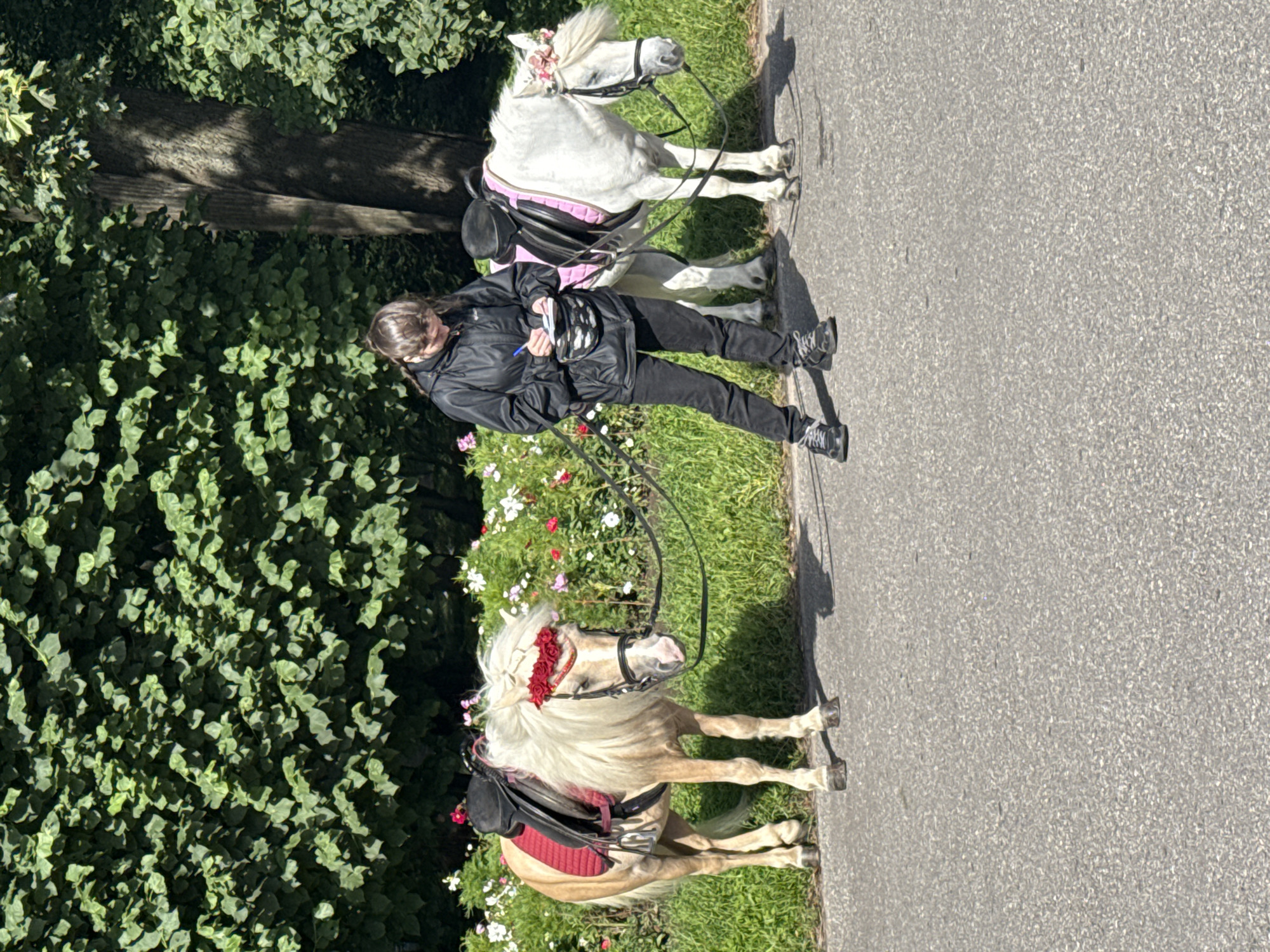A young person in a black jacket and dark pants stands on an asphalt path, holding a pen and notebook. They are positioned between two ponies. To the left is a light tan pony wearing a red saddle pad and a red floral wreath on its head. To the right is a white pony with a pink saddle pad and a pink and white floral wreath on its head. Both ponies have bridles and are tethered by reins. Behind them is a grassy area with scattered pink and white flowers, and a dense green hedge or treeline. A large tree trunk is visible to the right of the ponies. The scene appears to be a park or recreational area within the city of Saint Petersburg, Russia, likely during daylight hours.