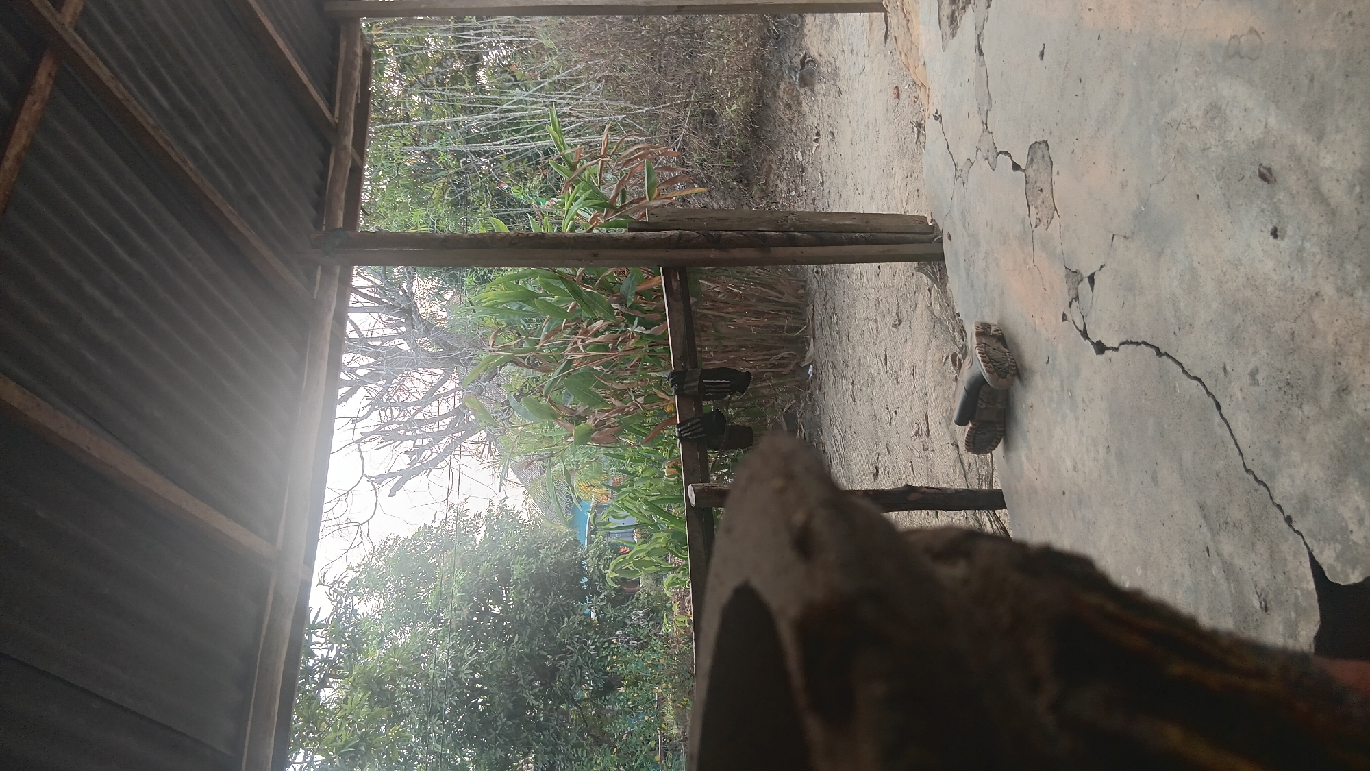 This image depicts a scene under a corrugated metal roof supported by wooden posts, suggesting an open-air shelter or porch. The flooring is concrete, exhibiting significant cracks and wear. In the foreground, out of focus, is a dark, rough-textured object, possibly a large pot or planter.
Beyond the shelter, the environment is rural or semi-rural. There is dense vegetation, including large-leaved plants and trees, with some dry stalks visible. The ground outside the concrete area appears to be sandy or dusty.
On the wooden railing of the shelter, two pairs of black footwear are hanging. One pair appears to be flip-flops or sandals, and the other, further to the right, seems to be a pair of boots or shoes. On the concrete floor in the middle ground, a pair of dark boots are lying on their sides. The sky is overcast and bright, suggesting it is daytime.
There are no visible people in the image. The overall impression is of a functional, perhaps rustic, outdoor living or working space. Without further context, it is impossible to definitively place this scene within Prabumulih, Indonesia, though the presence of lush vegetation and the style of shelter could be consistent with a tropical environment.