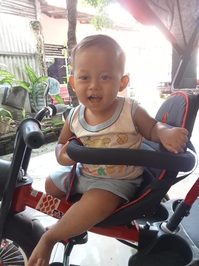 Memory