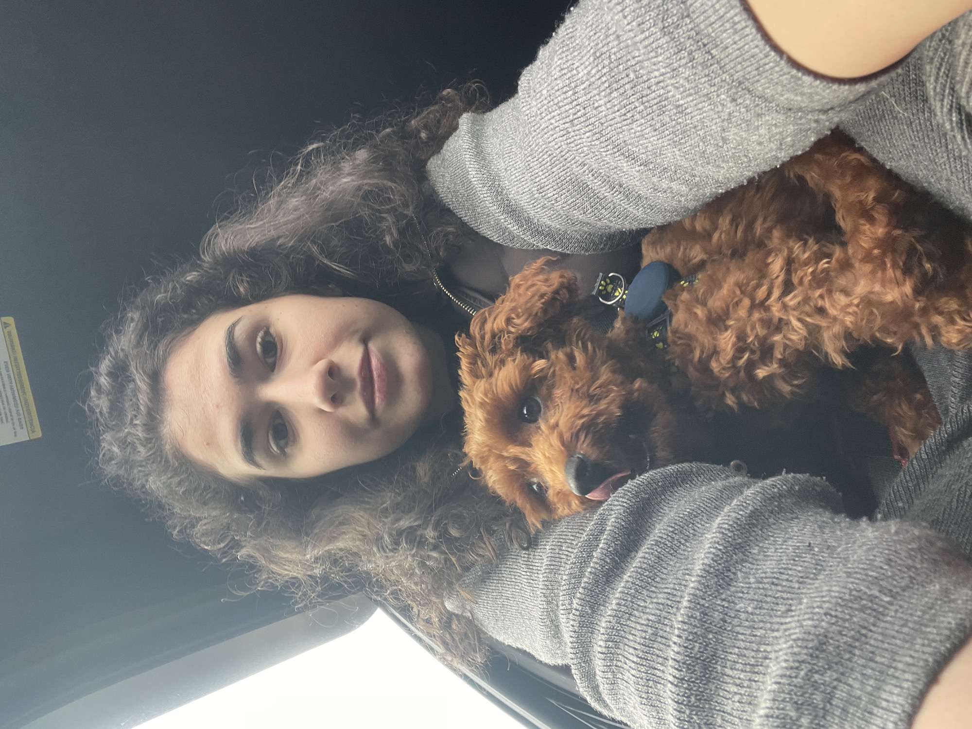 A selfie shows a woman with curly brown hair and light skin in the front seat of a car, with a small, curly brown poodle dog nestled in her arms. The woman is wearing a grey sweater. The dog has a blue collar with lime green accents. The vehicle interior is dark. The location cannot be determined from the image.