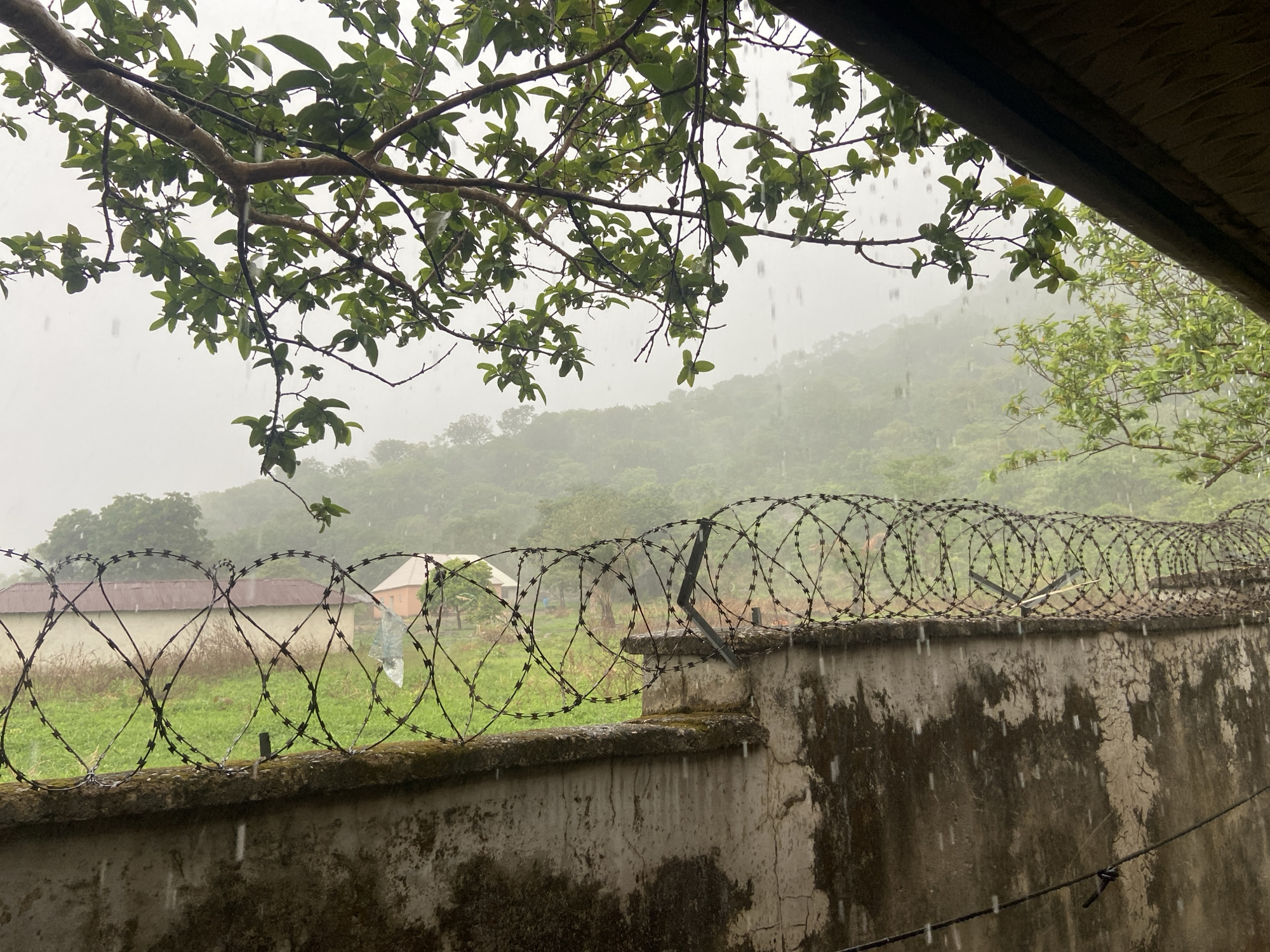 The image, taken in Mararaba, Nigeria, shows a view through a tree with green leaves, overlooking a concrete wall topped with barbed wire. Beyond the wall is a green, grassy area with two buildings of light color. In the background is a green, misty hill. Rain is falling, obscuring the view. The wall shows signs of water damage and discoloration. An electrical wire runs in the bottom right corner.