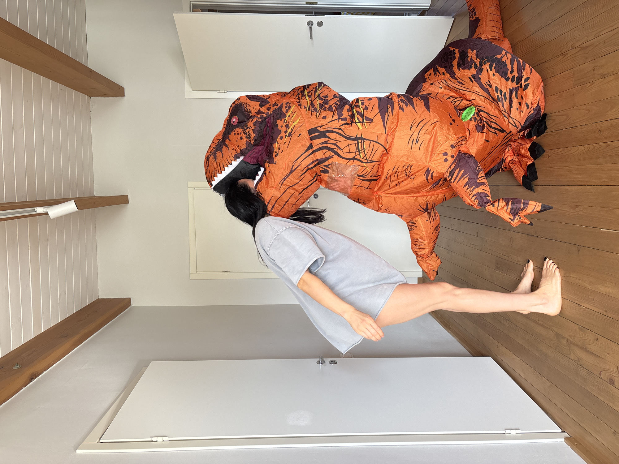 A person with long dark hair is being seemingly "eaten" by an orange inflatable dinosaur costume in what appears to be an indoor room. The person is wearing a light grey t-shirt and their legs are bare. The room has wood floors, white walls, white doors, and wooden ceiling beams. The exact location is unknown and cannot be determined to be in Chaikovsky, Russia.