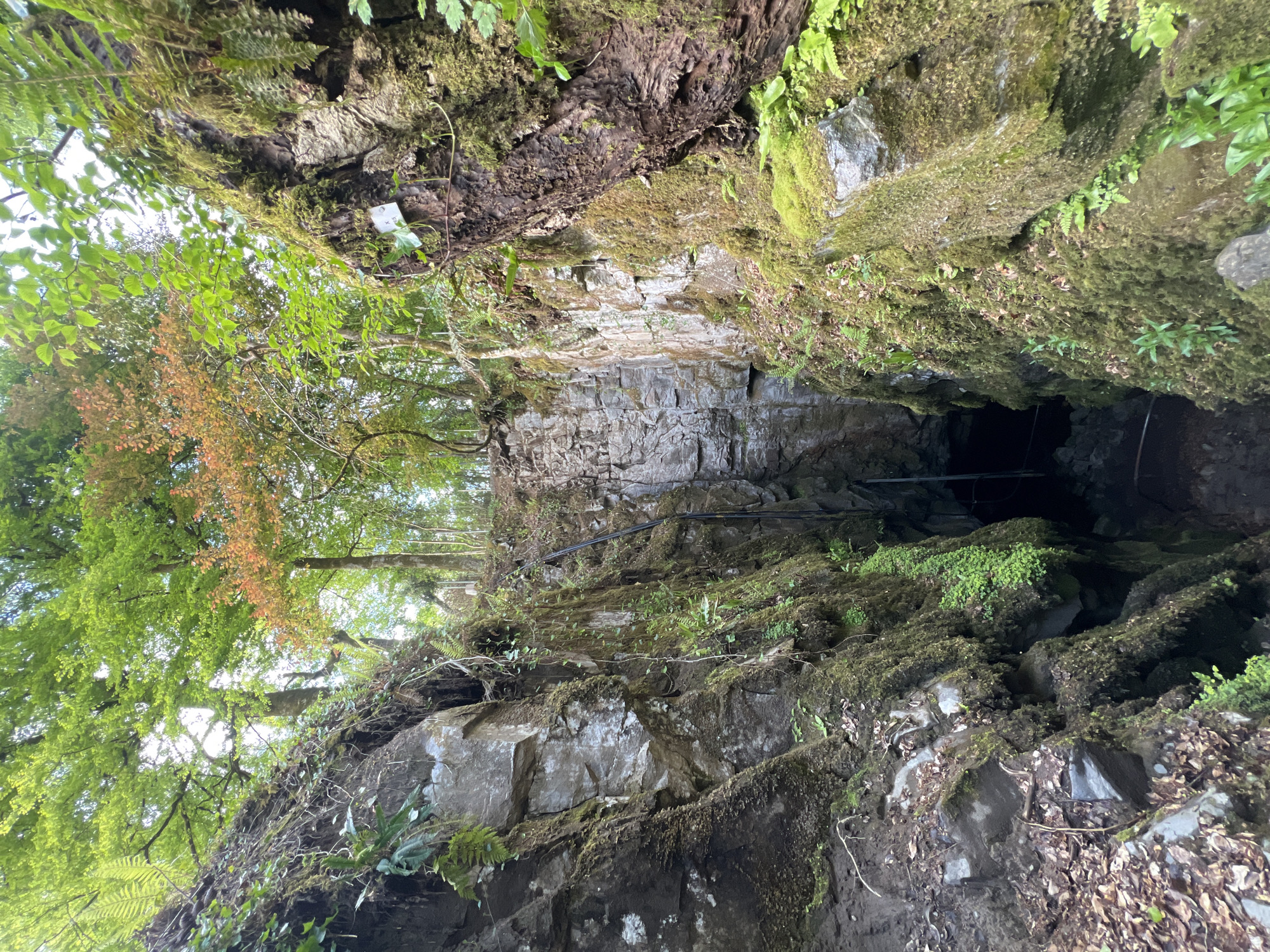 The image shows a view looking into a dark opening in a rock face covered in moss and vegetation. The rock face appears to be part of a natural formation or cliff. Trees and foliage are visible above the rock face, with some leaves exhibiting orange and green hues. There are what appear to be cables running across the rock face, possibly for support or utilities. The dark opening suggests a cave or tunnel. This is in Garraunbaun, Ireland.