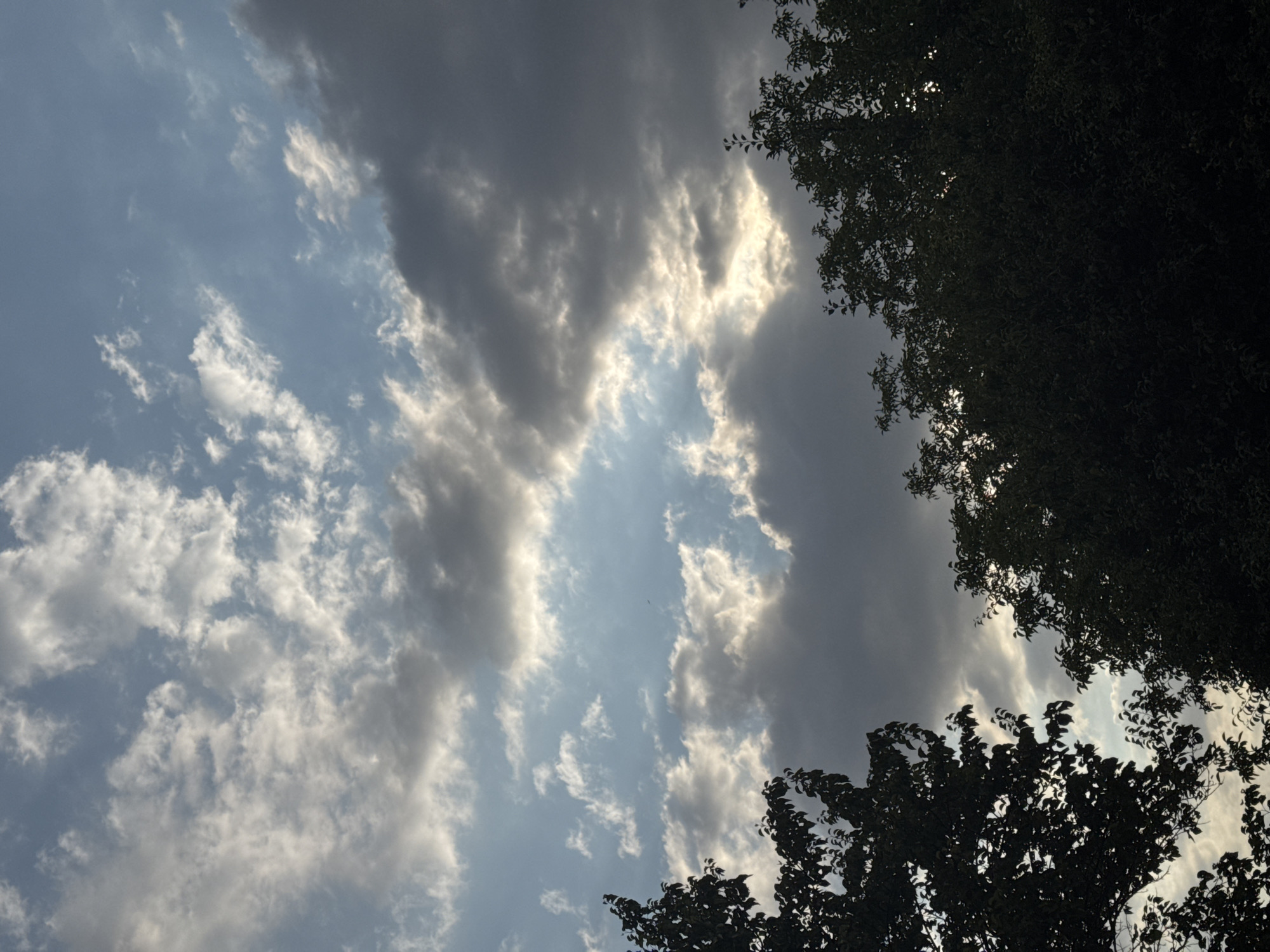 The image shows a view of the sky from ground level, looking upwards through the branches of trees. The sky is partly cloudy with a mix of dark and light grey clouds interspersed with patches of blue sky. Sunlight is breaking through in some areas, creating bright, illuminated sections within the clouds. The trees in the foreground are silhouetted against the sky, with their dark green leaves obscuring much of the lower portion of the image. The scene suggests an outdoor environment, possibly a park or residential area, in Novotitarovskaya, Russia. There are no people or specific objects of interest visible in the image, apart from the natural elements of trees and sky.