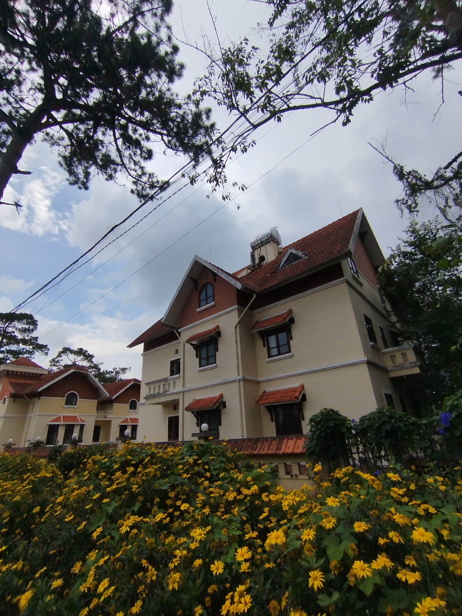 The photograph depicts a building in Da Lat, Vietnam, characterized by its pale yellow facade and red tile roof. It is a multi-story structure with several windows and a small balcony on one side. In front of the building is a dense collection of yellow flowers in full bloom, obscuring part of a low wall. Overhead, branches of trees frame the upper portion of the shot, partially obscuring the sky, which is filled with clouds. Electrical wires cut across the sky, adding to the urban landscape.