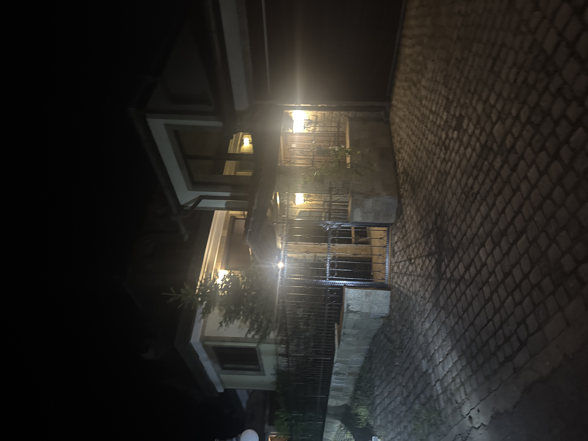 This nighttime photograph depicts a residential scene in Kyustendil, Bulgaria. The image foreground features a dark, possibly wet, cobblestone or paver driveway/path exhibiting reflections and shadows. A black wrought iron fence, with an open gate, is positioned across the mid-ground atop a stone retaining wall. Two multi-story residential structures are visible behind the fence. The structure on the left is lighter-toned, with dark window frames and a small evergreen tree situated in front of it. The structure on the right appears darker and more contemporary, featuring large windows and a prominent dark roll-up garage door. Multiple exterior light fixtures are active on the buildings, generating strong lens flares and illuminating portions of the scene. Interior lights are also visible through the windows of both residences. The sky is completely dark. No individuals, animals, or active movements are present within the frame.