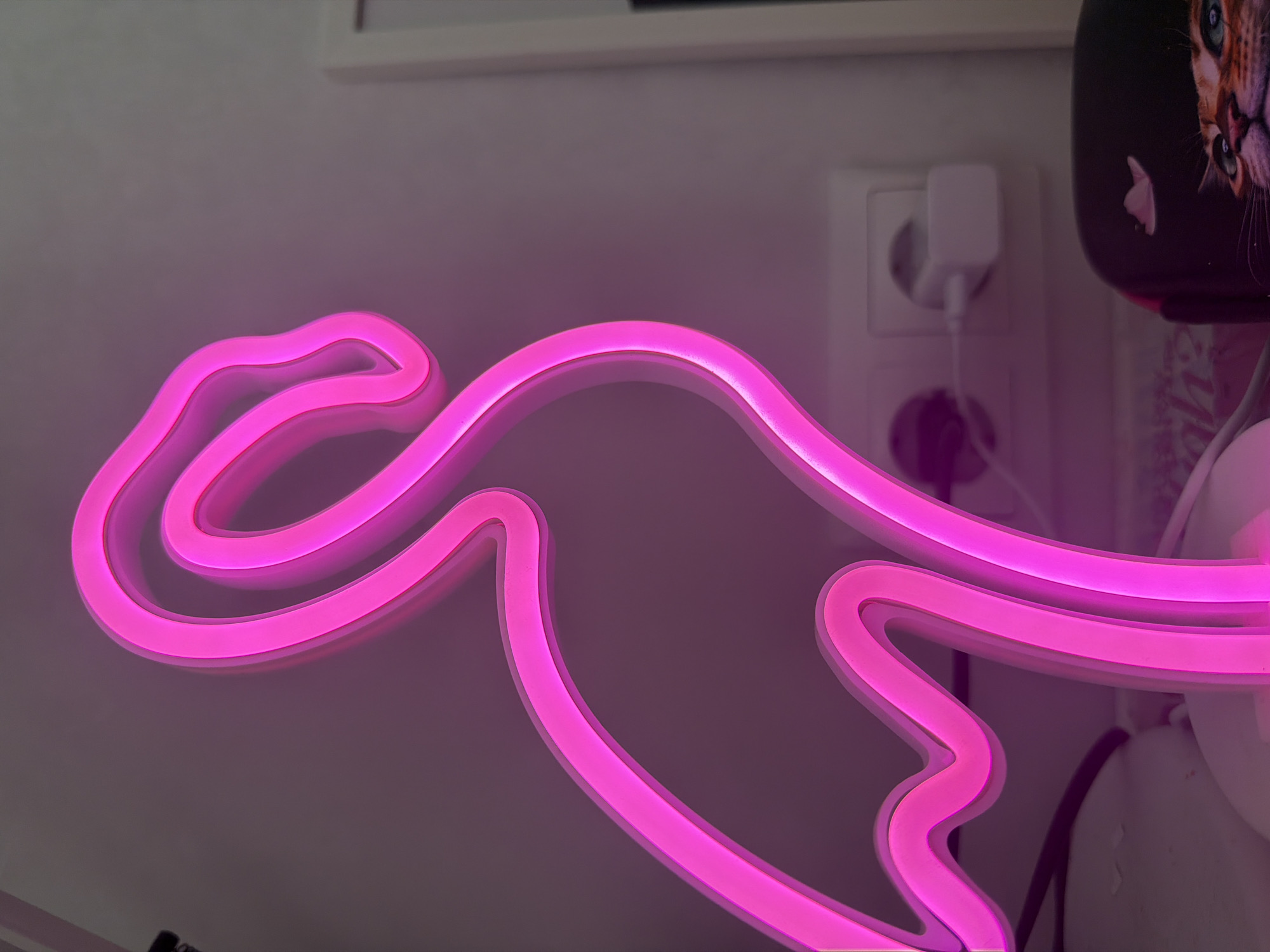 This is a close-up, medium-shot, eye-level photograph of a bright pink neon flamingo lamp. The flamingo is positioned in the foreground, facing to the right, with its curved neck and head dominating the upper portion of the frame. The neon tubing is illuminated, casting a vibrant glow on the surrounding environment.
In the background, a white electrical outlet is visible on a light-colored wall. A white power adapter is plugged into the outlet, with a white cord extending from it. To the right of the outlet, a dark object with a cat's face printed on it is partially visible in the lower right corner. The overall environment suggests an indoor setting, possibly a room, with diffused ambient lighting. The photograph has a shallow depth of field, with the flamingo sharply in focus and the background elements slightly blurred.
The location of this image is not discernible from the visual information provided. There is no indication of the city of Chaikovsky, Russia, or any other specific geographical location within the image itself.