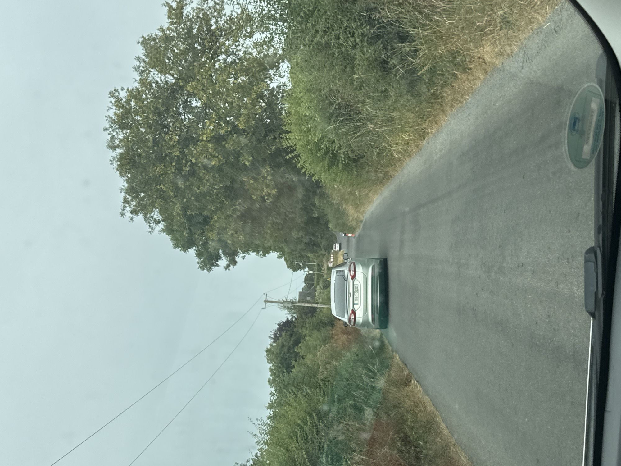 A silver sedan with license plate 191-F-3022 is driving down a narrow, paved road in the Irish countryside, likely near Bamford. The car is the primary subject, positioned in the center of the frame and facing away from the viewer. The road is bordered by dense green foliage and trees on both sides. A large, leafy tree dominates the right side of the background. The sky is overcast, suggesting a cloudy day. In the distance, another white car is visible, and a traffic cone is placed on the right side of the road. Power lines stretch across the sky overhead, supported by a utility pole. The scene appears to be a typical rural landscape with no immediate signs of activity beyond the vehicles on the road.
