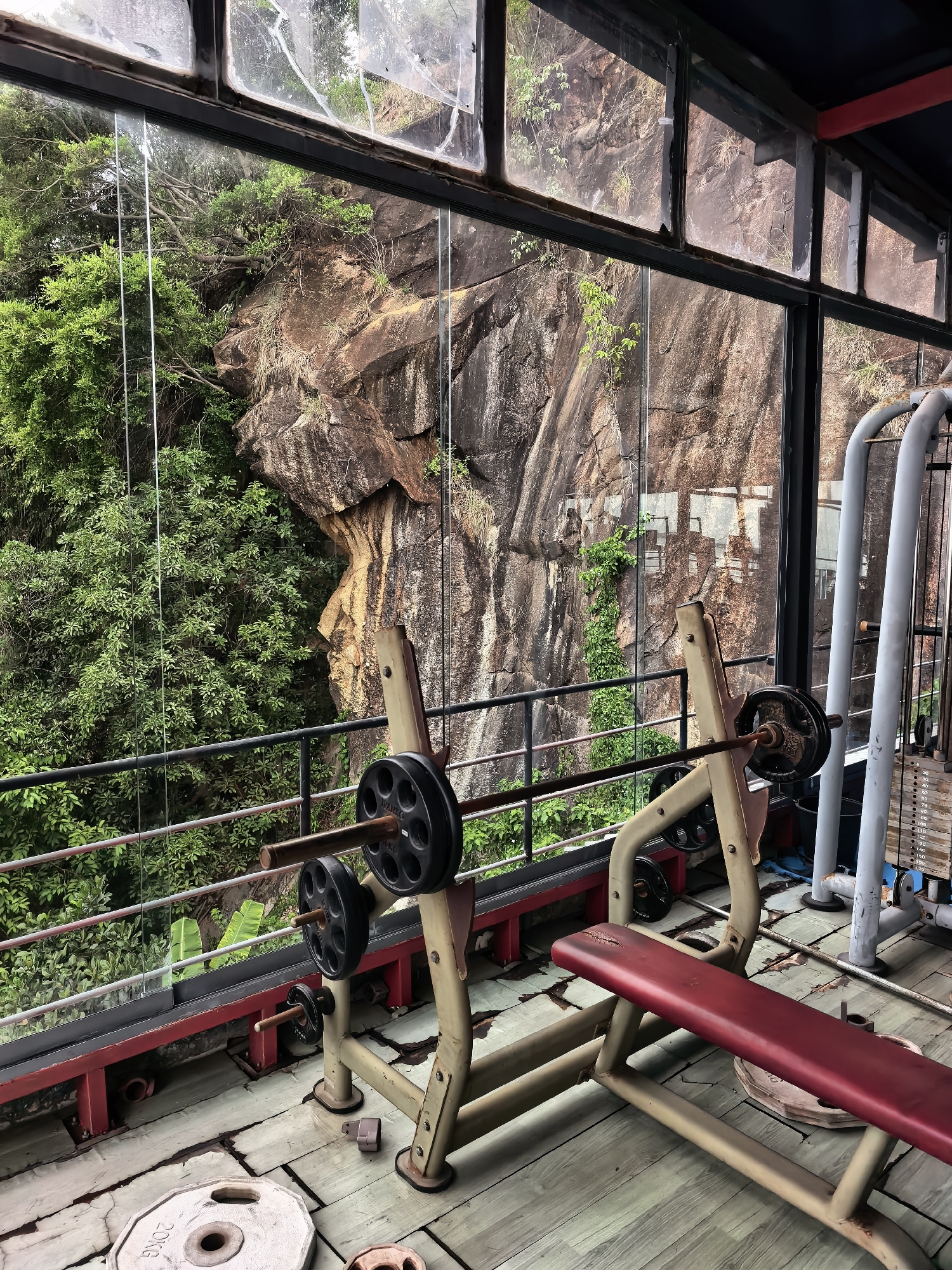 This image depicts an indoor gym area with a large glass window offering a view of a rocky cliff face and dense green foliage. The gym equipment includes a weight bench with a barbell loaded with weight plates, and a weight stack machine. The floor appears to be made of weathered wooden planks. The scene is situated on the exterior of a building, possibly with an outdoor balcony or platform, as evidenced by the railing visible outside the window. The presence of a weight stack machine and a bench press suggests a functional but somewhat aged gym. The natural backdrop of the rocky cliff and lush vegetation indicates a location within a mountainous or hilly terrain, consistent with some areas in Ko Samui District, Thailand, known for its natural beauty and tropical environment. There are no people present in the image.