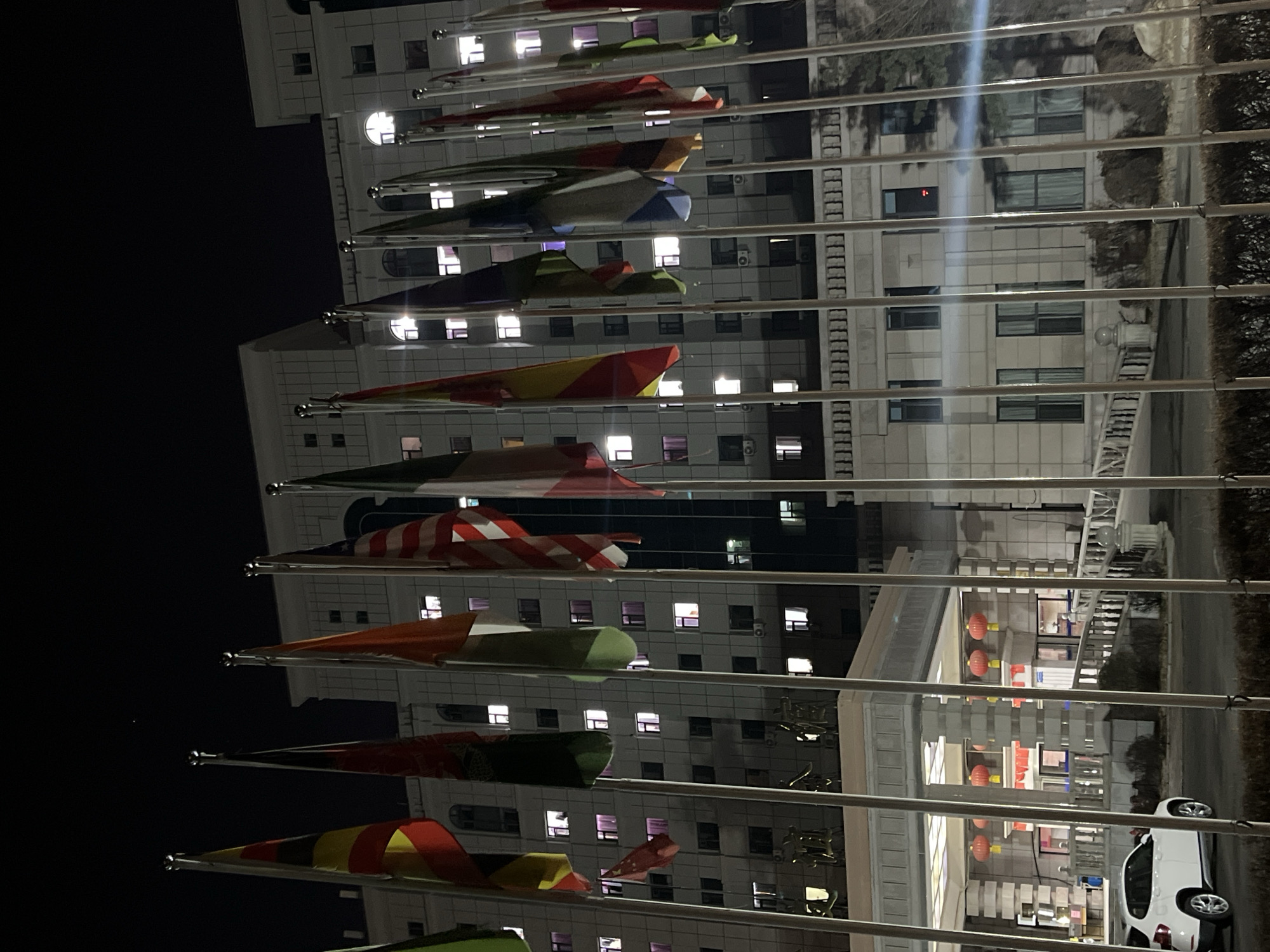 The image shows a row of international flags displayed in front of a multi-story building in Changchun City, China, during the evening. The building has many lit windows, and a street with a white car is visible in the foreground.