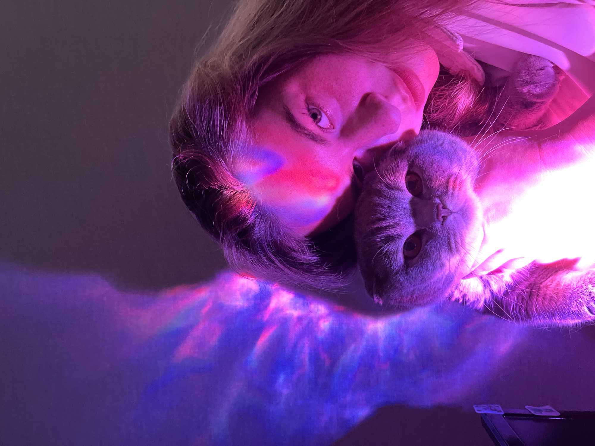 A woman is holding a gray cat. Both face the camera at an upside-down angle. Her face is partially illuminated with a rainbow pattern. The overall lighting is purple. A purple and blue light pattern is cast on the wall. A black object is in the lower right. The photo was taken in a room with gray walls and no specific details about the city of Chaikovsky, Russia are visible.