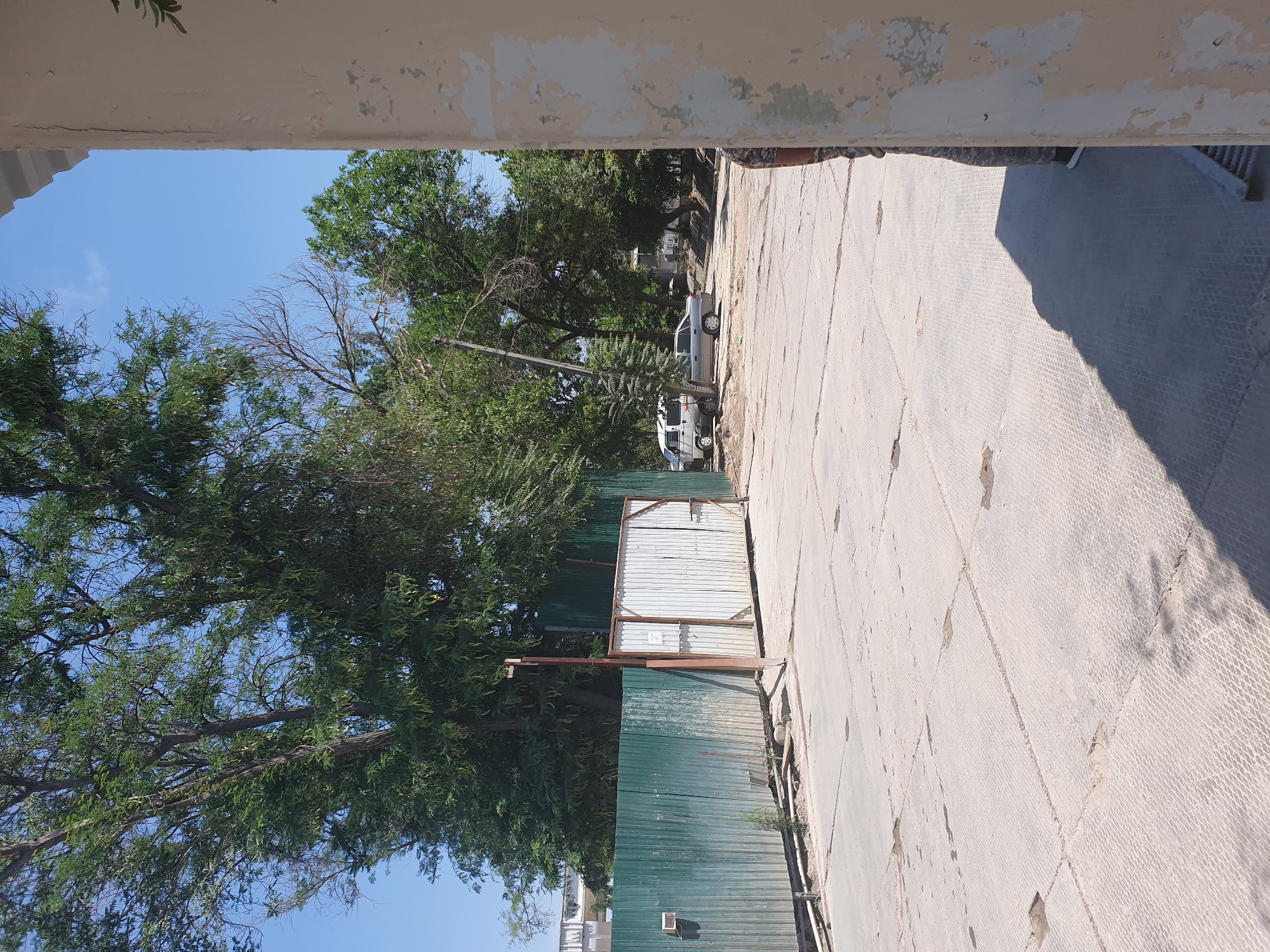 The image depicts an outdoor scene in Tashkent, Uzbekistan, under a clear blue sky. In the foreground, a textured concrete surface is visible, likely a road or pavement, with distinct square sections and some lighter patches. To the left, a green corrugated metal fence runs horizontally, showing signs of weathering and dirt. Adjacent to this fence is a section of lighter colored corrugated metal gate, with a brown metal frame. Beyond the fence and gate, large trees with dense green foliage dominate the background, their branches reaching towards the sky. A few scattered trees and some distant buildings are also discernible through the leaves. In the midground, two vehicles are parked on a paved area: a white van and a silver sedan. A thin utility pole stands near the gate. To the far right, the corner of a building with peeling paint is visible, casting a long shadow on the concrete ground. A person, partially visible from the waist down and dressed in camouflage-patterned clothing, stands near the building. The overall impression is of an urban environment with significant green space, possibly an industrial area or a park entrance.