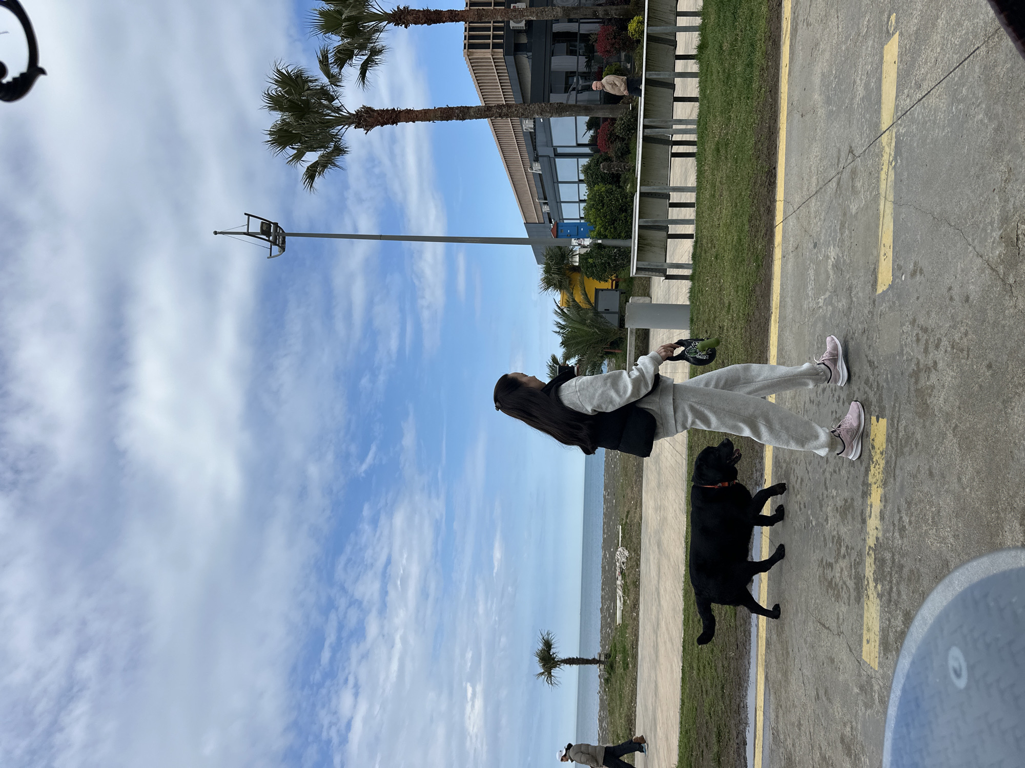 A woman in a gray tracksuit and pink sneakers walks a black dog along a concrete path near the beach in Batumi, Georgia. The path is bordered by grass and a low barrier on one side and the beach and sea on the other. Palm trees are scattered along the coastline, and a modern building is visible in the background. The sky is blue with scattered clouds. Another person is seen walking in the distance near the beach.
