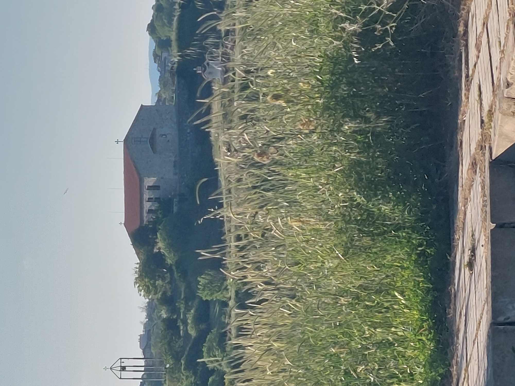 The image shows a view in Tsarevo, Bulgaria, featuring a stone church or building with a red-tiled roof, set on a hill with surrounding vegetation. The building has a cross on top and appears to be of old construction. A metal structure with a cross on top is visible lower in the foreground. A wooden boardwalk or pathway is partially visible on the right side of the frame. The sky is light blue and mostly clear. The vegetation in the foreground consists of tall grass and bushes.