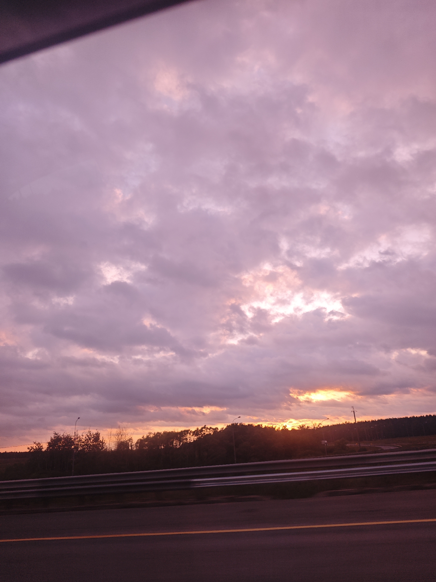 The image captures a scenic view of a pink and purple sky with clouds, likely during sunset. Below the sky, a dense line of trees forms a dark silhouette against the horizon. A highway guardrail and asphalt road are visible in the foreground, suggesting the photo was taken from a vehicle. The lighting indicates dusk. There are no people or specific landmarks visible that would indicate the city of Ispytatel', Russia.