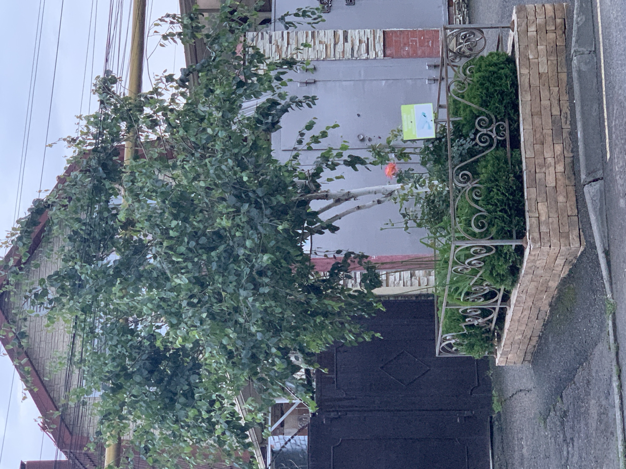 The image shows a street scene with a building partially obscured by a large tree. The building has a metal facade with a decorative brick section and a dark door. A planter box with wrought iron detailing and greenery is on the right side of the image. Overhead, there are numerous power lines. The environment appears urban, with a paved street visible in the foreground. The overall impression is a typical residential or commercial area in an unidentified city.