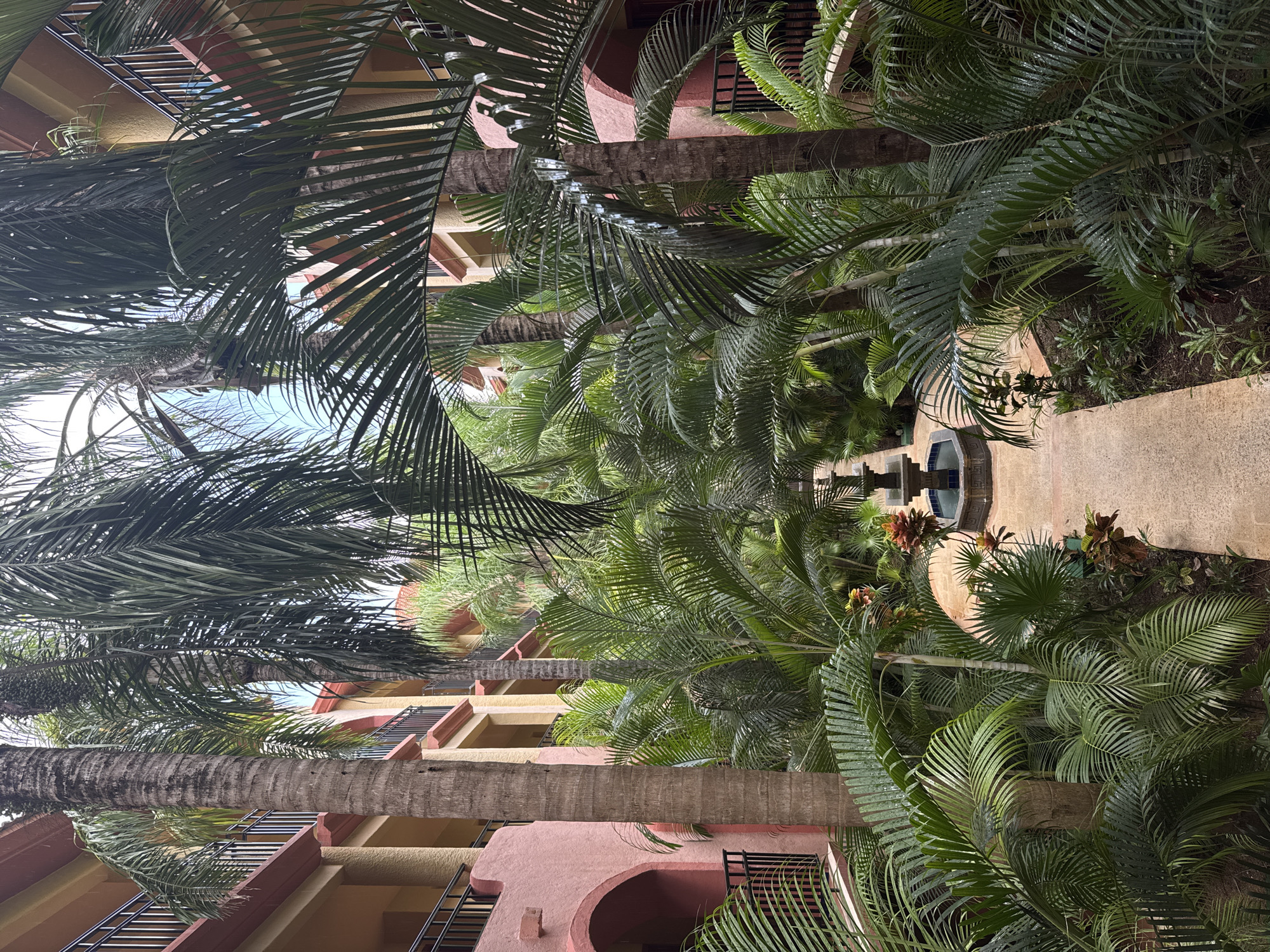The image shows an outdoor space in Playa del Carmen, Mexico. A narrow walkway extends into the distance, leading to a tiered fountain. The walkway is lined with various tropical plants, including palm trees with large, feathery fronds. Buildings with peach and tan facades and dark wrought-iron balconies border the walkway. The image is taken from a low angle, looking upward through the foliage toward the sky.