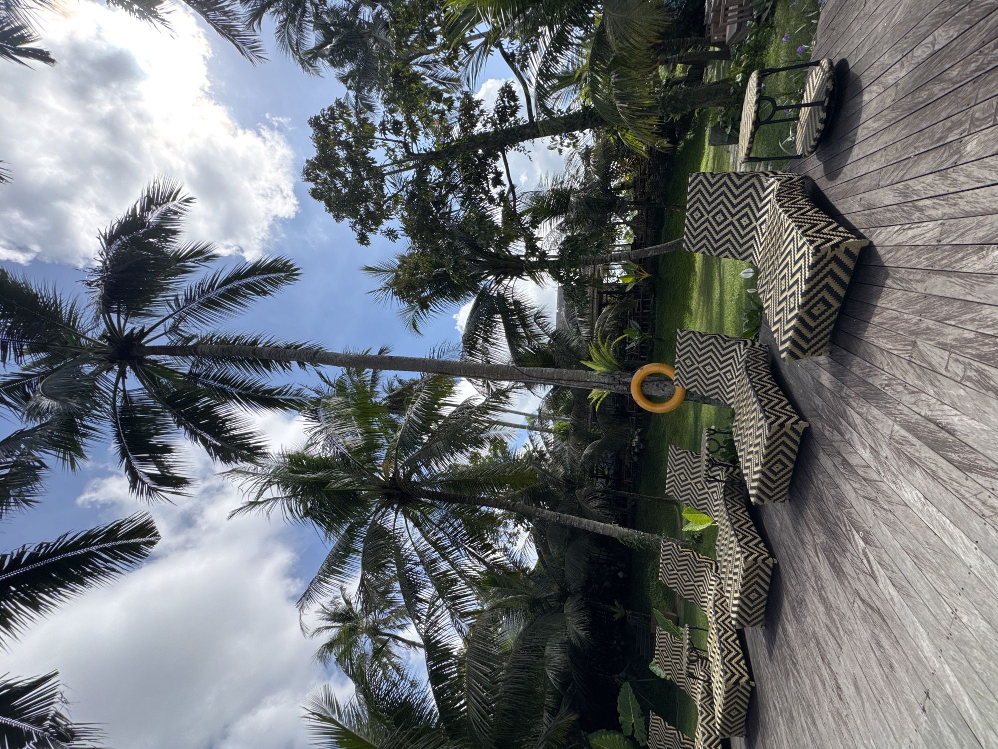 The image depicts an outdoor scene in Peliatan, Indonesia. The view is captured from a wooden deck, where outdoor furniture with a geometric pattern is arranged. Tall palm trees and other tropical foliage dominate the backdrop, with a partly cloudy sky visible between the leaves. A yellow ring is seen hanging between the furniture and foliage.