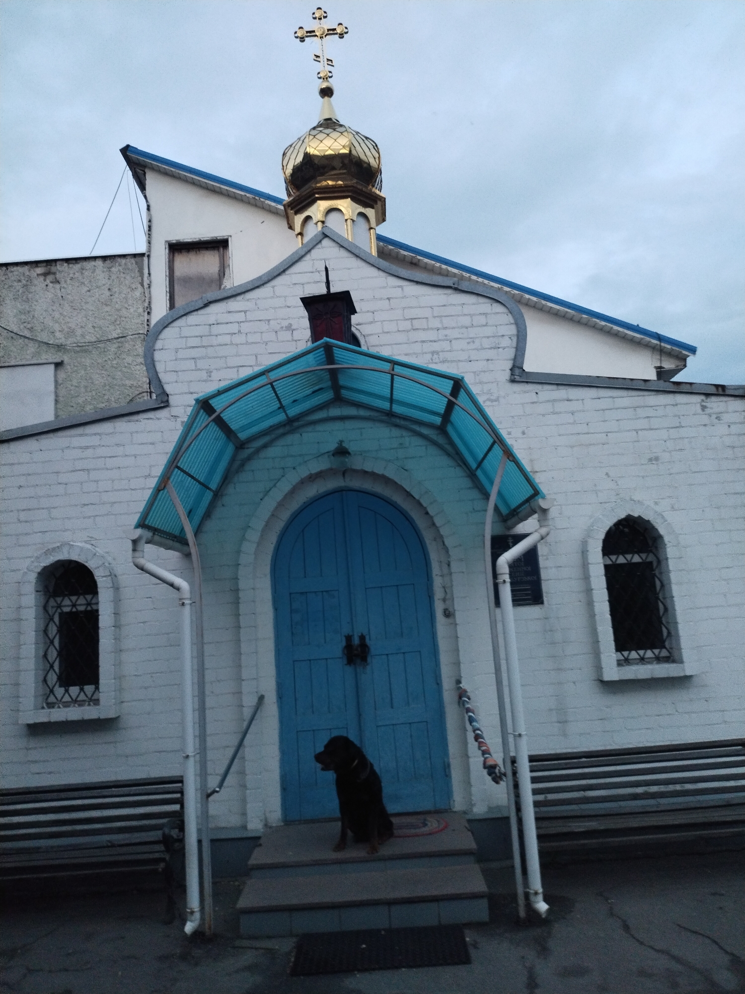 This image captures the exterior of an Orthodox church in Horishni Plavni, Ukraine, under an overcast sky. The church features a white brick facade with a prominent golden dome topped with a distinct Orthodox cross, which includes an angled lower bar and a small upper bar. Below the dome, the church has a blue-sloped roofline.
The central entrance consists of an arched, light blue double door, above which a turquoise corrugated plastic canopy extends outward. A dark, possibly red, decorative vent or small chimney is visible above the canopy, positioned centrally on the facade. Flanking the main entrance are two narrow, arched windows, each fitted with decorative black metal grilles. Two plain wooden benches are situated below these windows, to the left and right of the entrance steps.
A white vertical drainpipe runs down the right side of the entrance, originating near the canopy and extending to the ground. A dark rectangular plaque is affixed to the wall next to this drainpipe. The entrance is accessed by three concrete steps. On the top step, directly in front of the blue doors, a large, dark-furred dog, resembling a Rottweiler, sits facing towards the viewer's left. The dog wears a dark collar. A small, colorful circular mat is visible beneath the dog on the top step. Simple metal handrails assist access to the steps.
The ground in the foreground appears to be dark pavement, with visible moisture. In the background to the left, a grey textured wall and a white gable-ended section of the building with a single, dark-paned window are visible, suggesting an extension or adjacent structure. The overall lighting is soft, consistent with an overcast day. No other individuals are present in the scene.