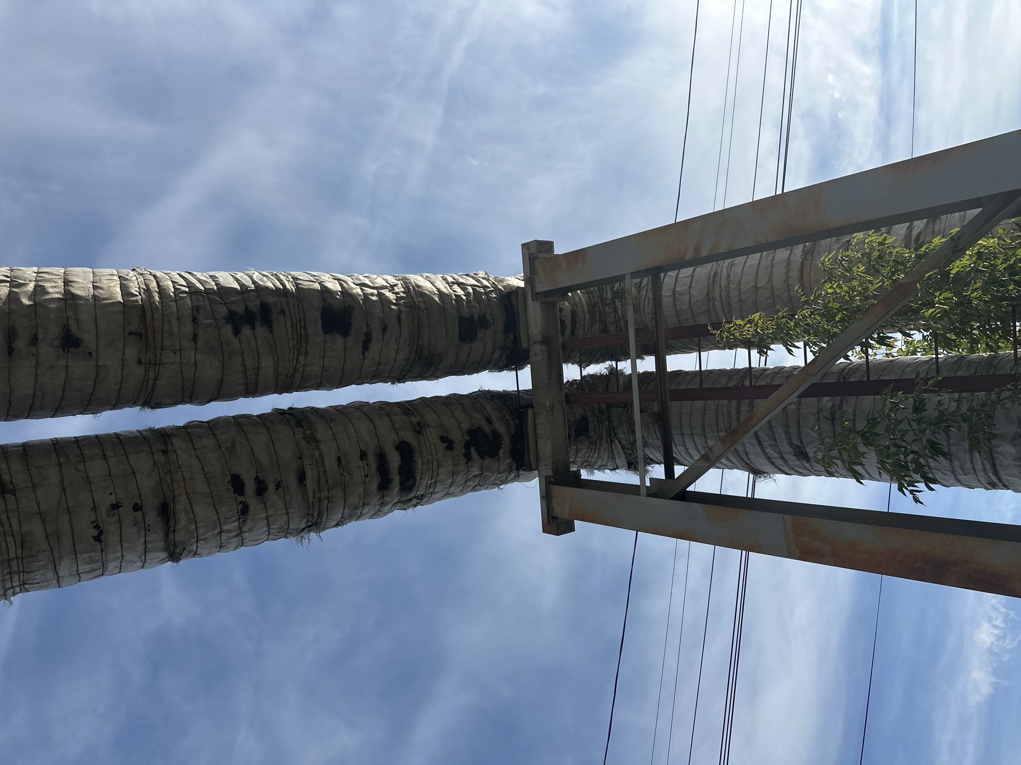 The image shows a low-angle view of two large, insulated pipes supported by a metal structure. The pipes are covered in a weathered, light-colored material that appears to be insulation, with some dark stains and fraying visible. They are elevated and run parallel to each other against a backdrop of a blue sky with scattered white clouds. Several dark, thin power lines are visible horizontally in the lower part of the frame, running behind the support structure. The metal support structure is made of angled beams and appears to be weathered and possibly rusted in places. Green foliage, likely trees or bushes, is growing up around the base of the support structure, partially obscuring one of the pipes. The scene is outdoors and appears to be in an industrial or utility area. The overall impression is one of infrastructure against a natural sky. This image was taken in Biysk, Russia.