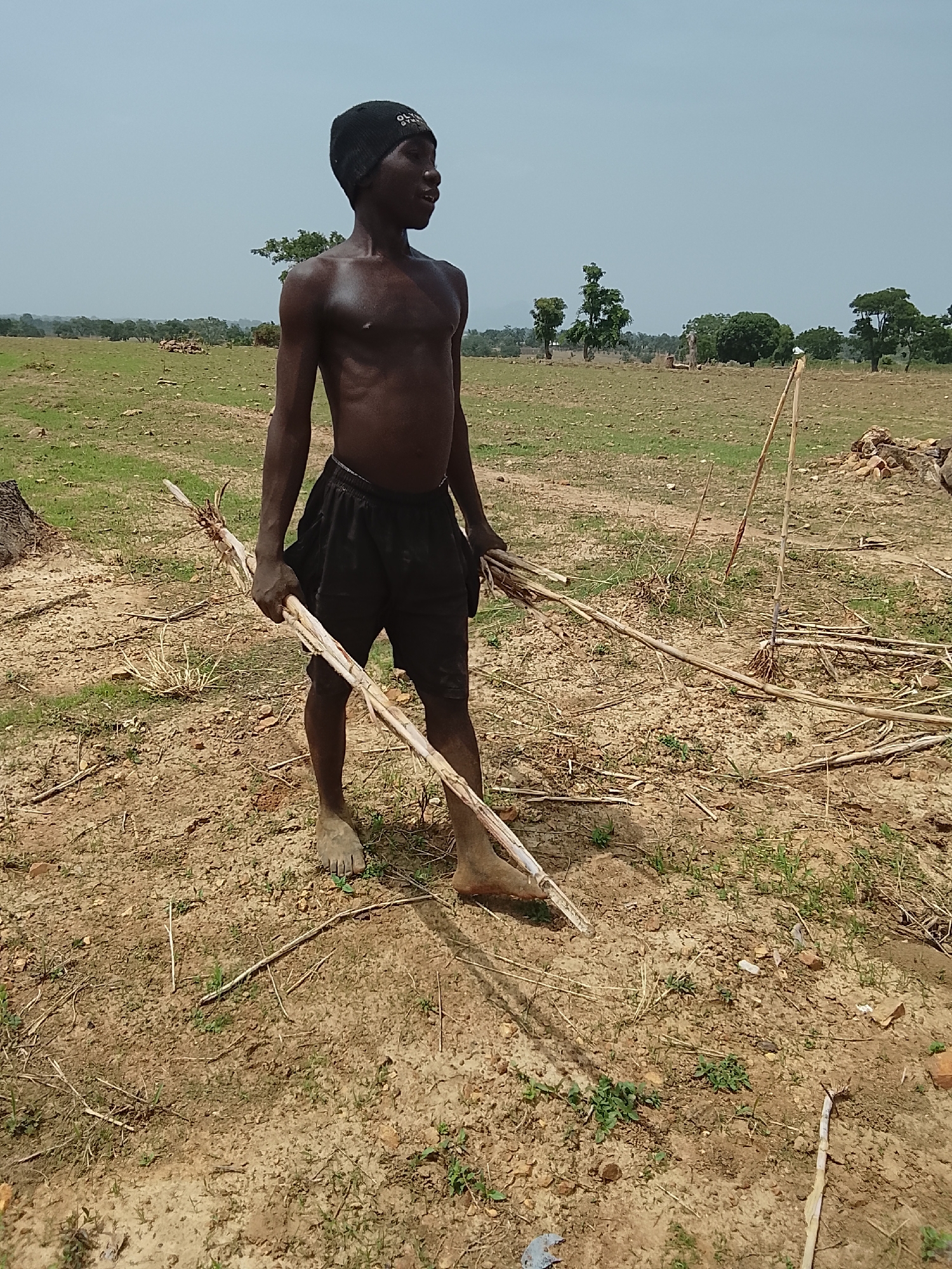 A shirtless dark-skinned man wearing a dark beanie and dark shorts stands in a field holding several long, thin, dried sticks or stalks. The field is largely barren with patches of short green grass, scattered dried vegetation, and reddish-brown soil. In the background, there is a line of trees and a hazy, light blue sky. The location is Akwanga, Nigeria.