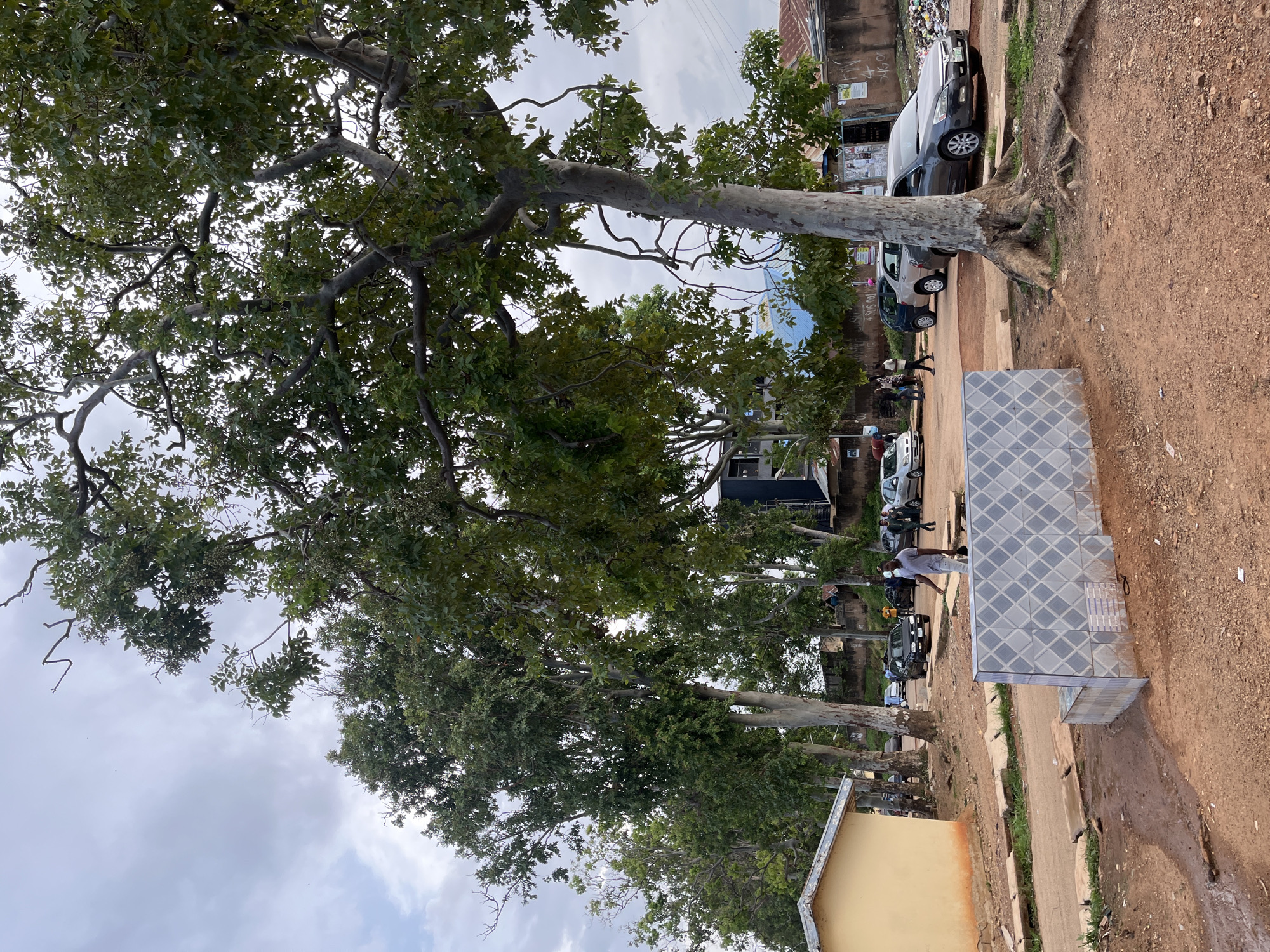 This image depicts a street scene in Jos, Nigeria, characterized by a dirt road and surrounding buildings. A prominent large tree with exposed roots stands in the foreground, to the right of a tiled structure that appears to be a water fountain or planter. Several cars are parked and driving on the road, including a dark sedan on the right and a silver sedan further down the street. A few individuals are visible, some walking and others standing near the vehicles. In the background, there are buildings, including a yellow structure on the left and taller buildings with dark facades behind the trees. The sky is overcast with clouds, and the overall atmosphere suggests a warm climate. The ground is a reddish-brown dirt, indicative of the local soil composition.