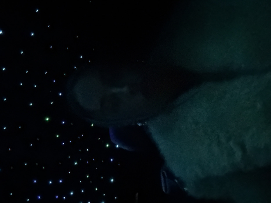 An abstract, low-lit scene presents a mix of textures and light points. A dark, speckled field of light resembling stars is prominent in the left quadrant. A dark, contoured surface reflects a face, with a blurred nose, eyes, and mouth visible. The right side shows a fuzzy, textured mass in shades of green. The dark, moody setting obscures details.