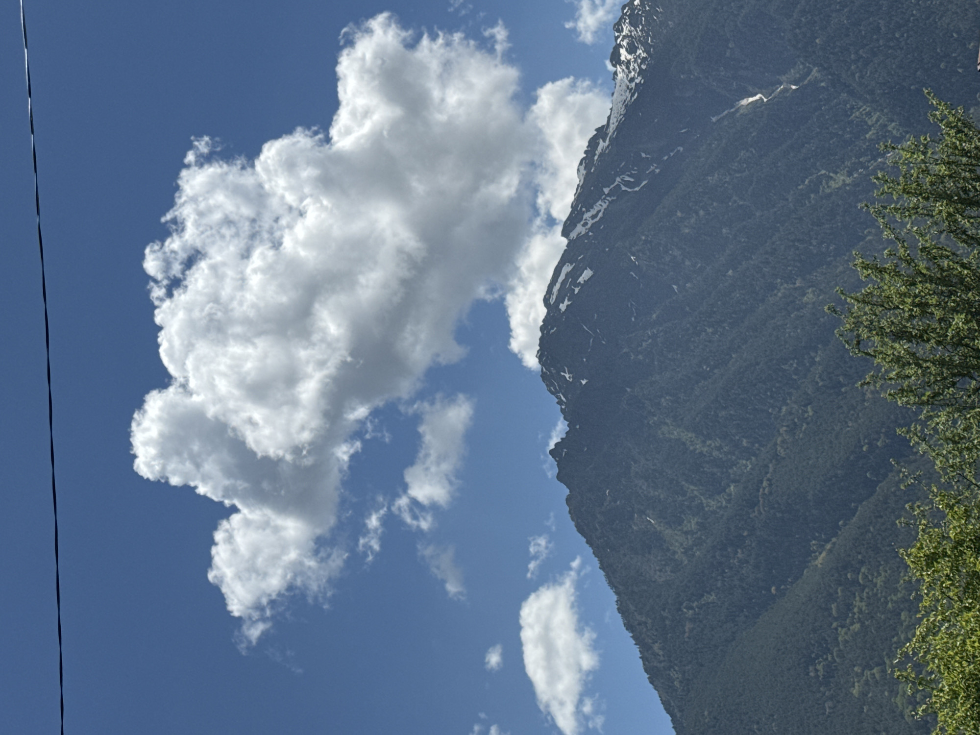 An outdoor, low-angle, vertical shot depicts a majestic, tree-covered mountain against a bright blue sky. The mountain's peak is dusted with snow, and its slopes are densely forested with dark green trees. A large, fluffy white cloud hovers above the mountain, partially obscuring the sky. A thin, dark horizontal line, possibly a power line, stretches across the upper portion of the frame. In the foreground, the tops of lush green trees are visible, adding a layer of depth to the scene. The image captures the natural beauty of the mountainous landscape, likely taken in or near Teberda, Russia, a city known for its stunning natural scenery and proximity to the Caucasus Mountains. There are no people or animals present in the image.