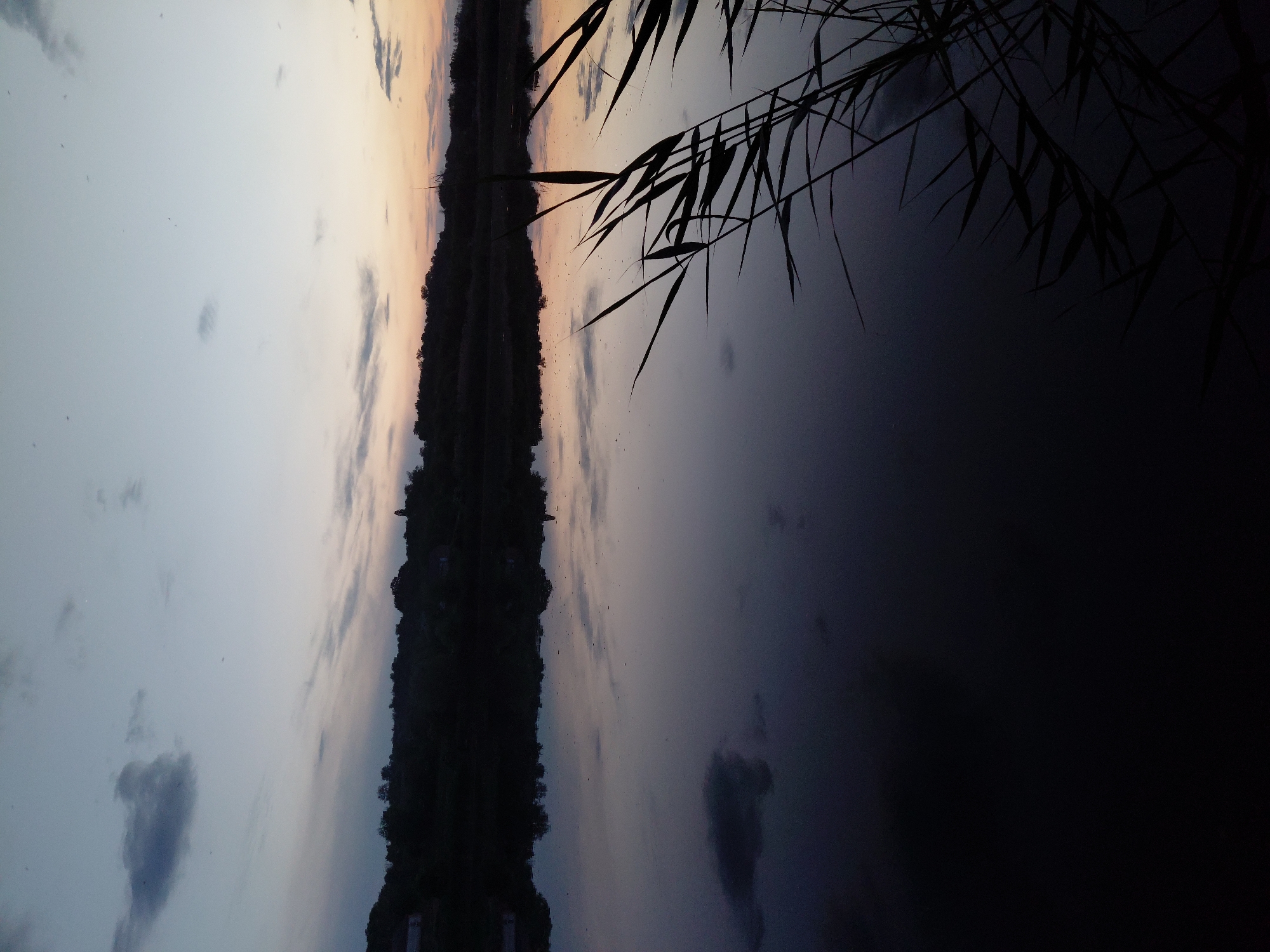 The image depicts a natural landscape at dusk, located in Ustyvytsia, Ukraine. The upper portion of the frame features a sky with a gradient of colors, transitioning from pale blue-grey on the left to a faint orange-pink hue towards the right horizon. Scattered dark grey clouds are visible across the sky. Below the sky, a dark, silhouetted landmass, consistent with a distant shoreline or hills covered in dense vegetation, stretches horizontally, separating the sky from the water. Subtle outlines within this silhouette suggest the presence of distant buildings or structures. The lower half of the image is dominated by a calm body of water, which reflects the sky and the silhouetted landmass in dark, diffuse tones. In the lower right foreground, a cluster of tall, thin plants, identified as reeds, rises from the water's edge, appearing as dark silhouettes against the water's surface. There are no individuals, animals, or explicit actions visible within the scene.